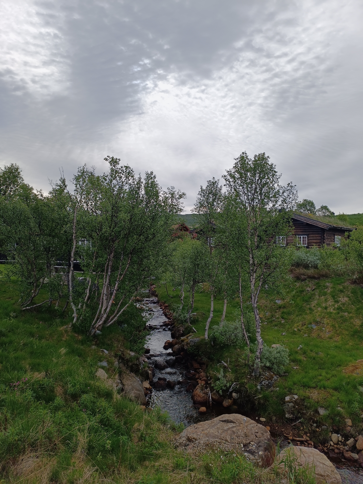 The image depicts a serene natural landscape in Hovden, Norway, dominated by a stream flowing through lush green grass and birch trees. A rustic log cabin with a grass-covered roof is visible on a gentle slope in the background, suggesting a remote and tranquil setting. The sky is overcast, with dramatic clouds contributing to the moody atmosphere. The scene is quiet and undisturbed, with no people present. The focus is on the natural beauty of the environment, with the cabin blending harmoniously into the surroundings.