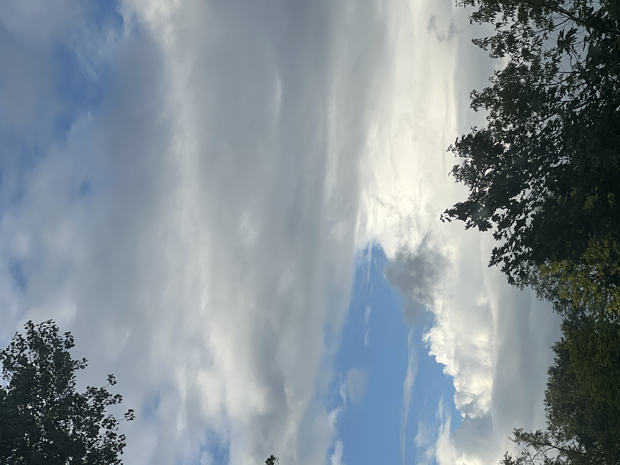 The image shows a view of the sky from the ground, looking upwards. Dense, grey clouds dominate the upper portion of the frame, interspersed with patches of bright blue sky. A large bank of fluffy white clouds is visible in the lower half of the image, partially obscuring the darker, overcast sky above. The tops of trees with dark green foliage are silhouetted against the sky in the foreground, framing the lower edges of the image. The scene suggests an outdoor setting, likely a park or residential area, given the presence of trees. The lighting indicates it is daytime, with sunlight filtering through the clouds. No people or specific landmarks of Warsaw, Poland are discernible in this image.