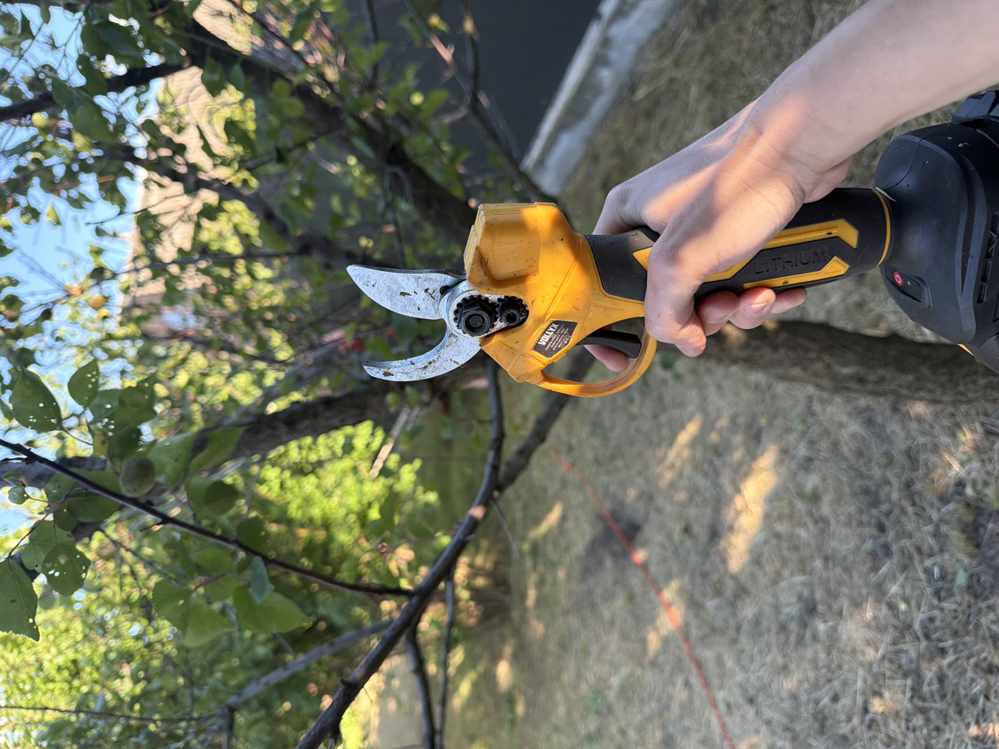In Bila Tserkva, Ukraine, a hand holds a yellow and black electric pruning shear. The shear's blades are open, poised near a tree branch. The background reveals a garden with dry grass, fallen leaves, and a blurred backdrop of green foliage and a bright blue sky, indicating an outdoor setting during daylight.