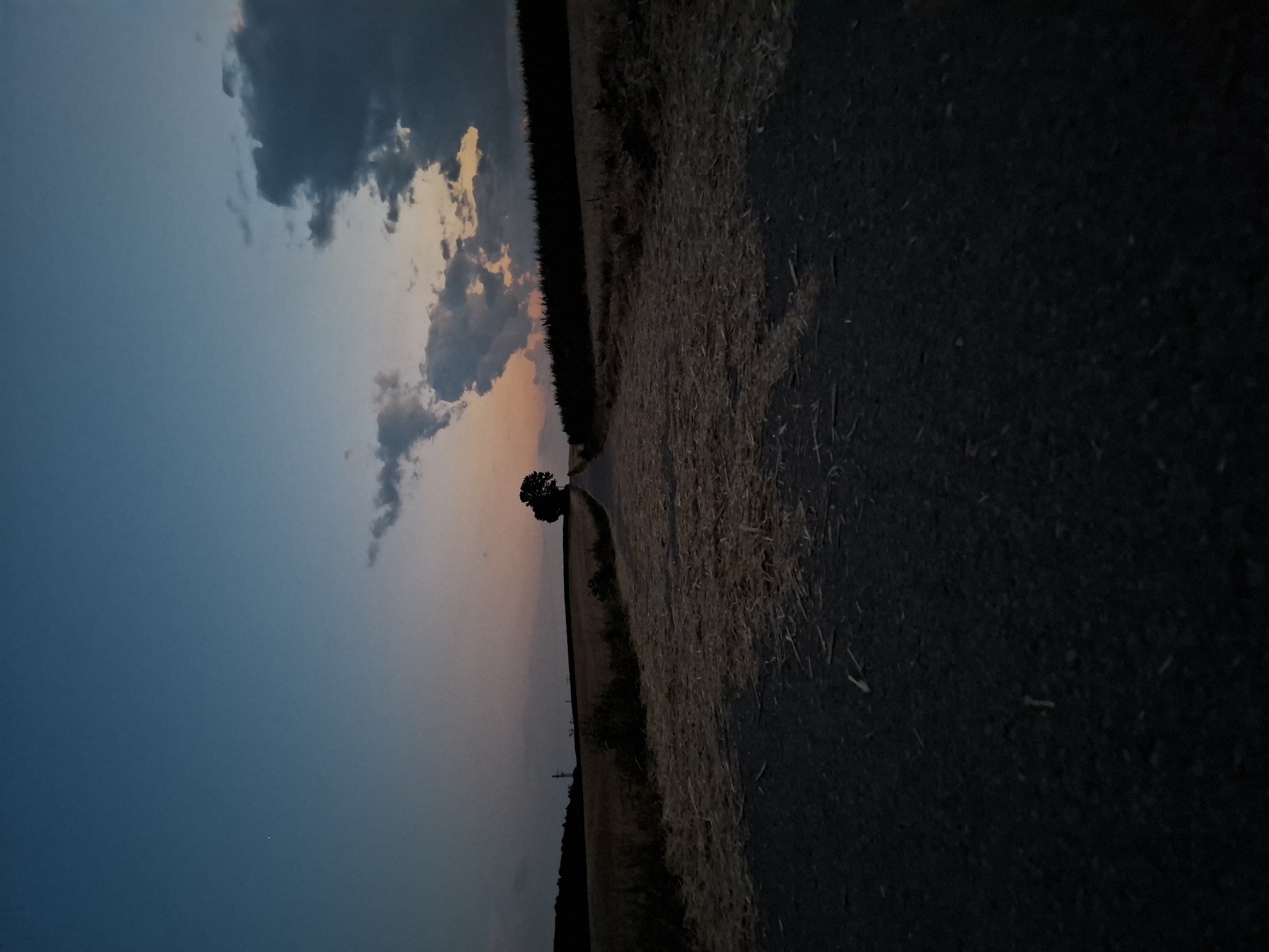 A low-angle, long shot captures a rural scene at dusk. A paved road, dimly lit, leads the eye towards a solitary tree silhouetted against a twilight sky. The road is bordered by fields of harvested wheat, their straw scattered across the ground. In the distance, a line of trees creates a dark silhouette against the horizon. The sky is a gradient of deep blue at the top, transitioning to soft oranges and pinks near the horizon, with scattered, dark clouds. The location is identified as a rural area near Kirchardt, Germany.
