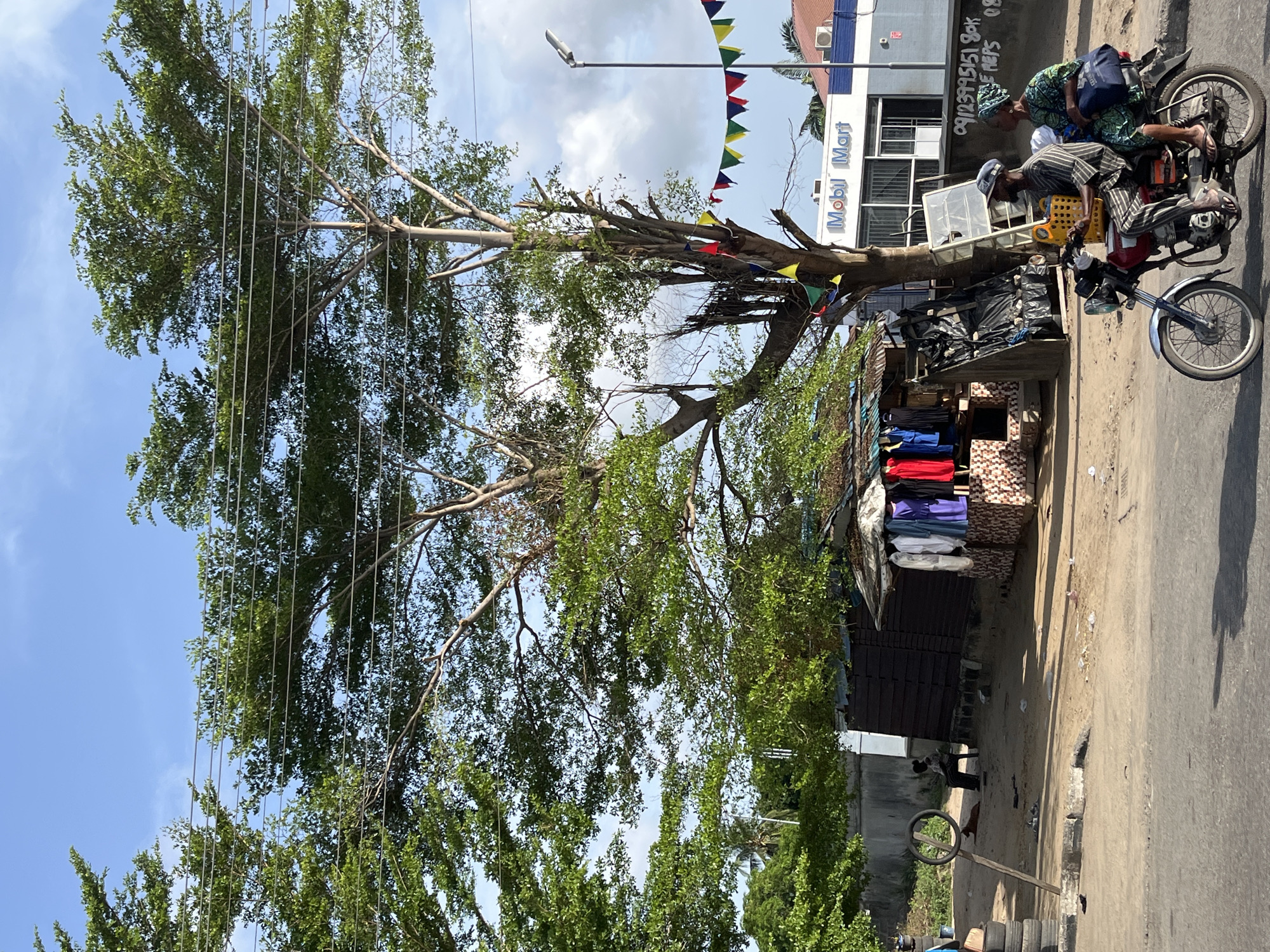 In Badagry, Nigeria, a bustling street scene unfolds. A large tree, its branches laden with foliage, dominates the left side of the frame, stretching up towards a partly cloudy sky. Electrical wires crisscross through the tree's canopy. Underneath the tree's shade, a roadside stall displays colorful clothing and goods, partially covered by a makeshift roof.
On the right side of the image, a motorcycle carries two individuals: the driver, wearing a striped shirt and cap, and a passenger in a patterned top. They are traveling along a paved road. In the background, a building with "Mobil Mart" signage is visible. Bunting is strung across the building. A person is seen lying on the ground. A sign bearing numbers is also visible on the building. Tires are stacked near the curb.