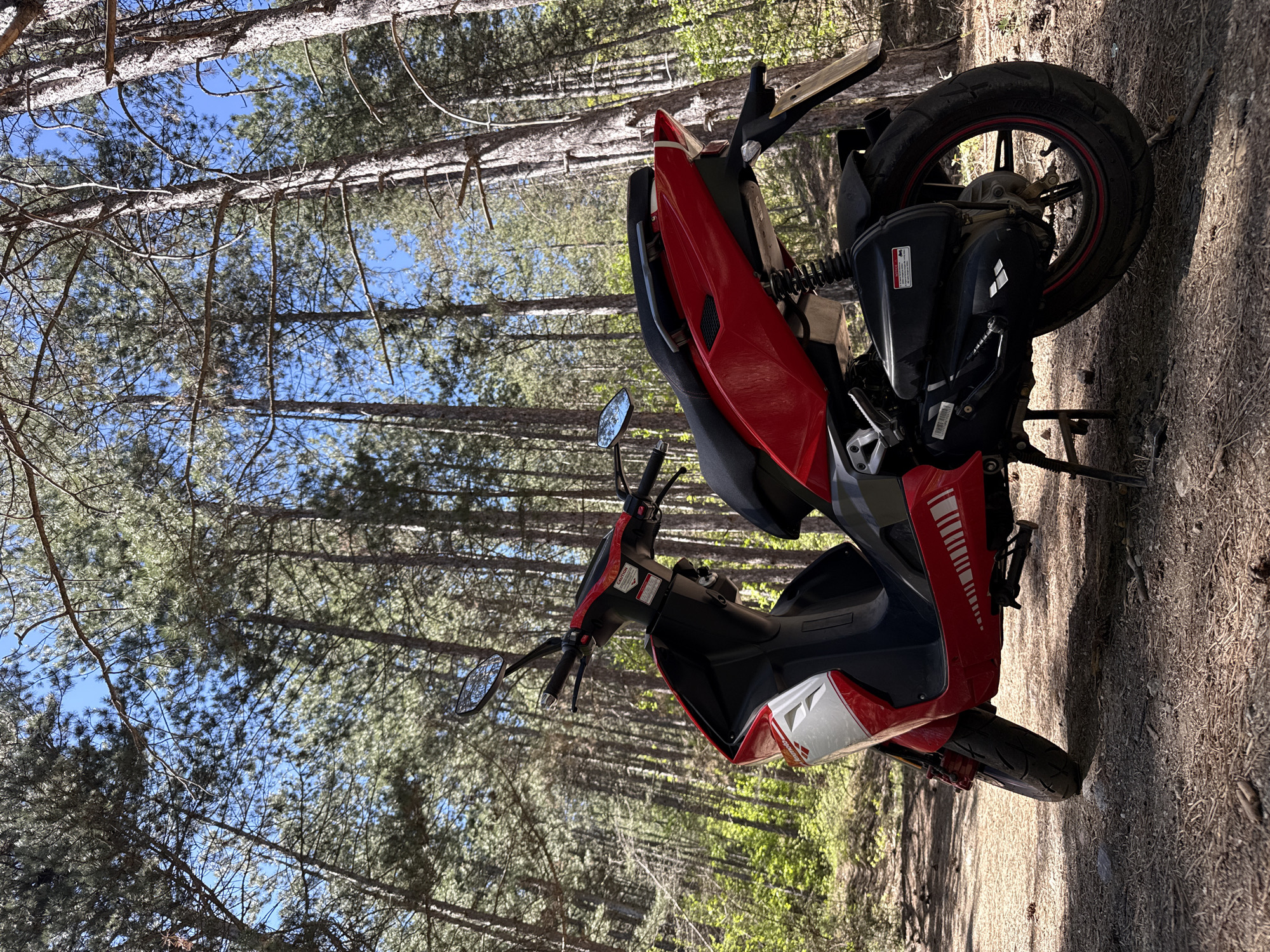 A red and black scooter is parked on a dirt path in a forest. The scooter is facing to the right of the frame, and its kickstand is down. The scooter has a rear license plate and a side mirror visible. The forest is made up of tall, thin trees with green foliage and a blue sky is visible through the trees. The location is Boboshevo, Bulgaria.