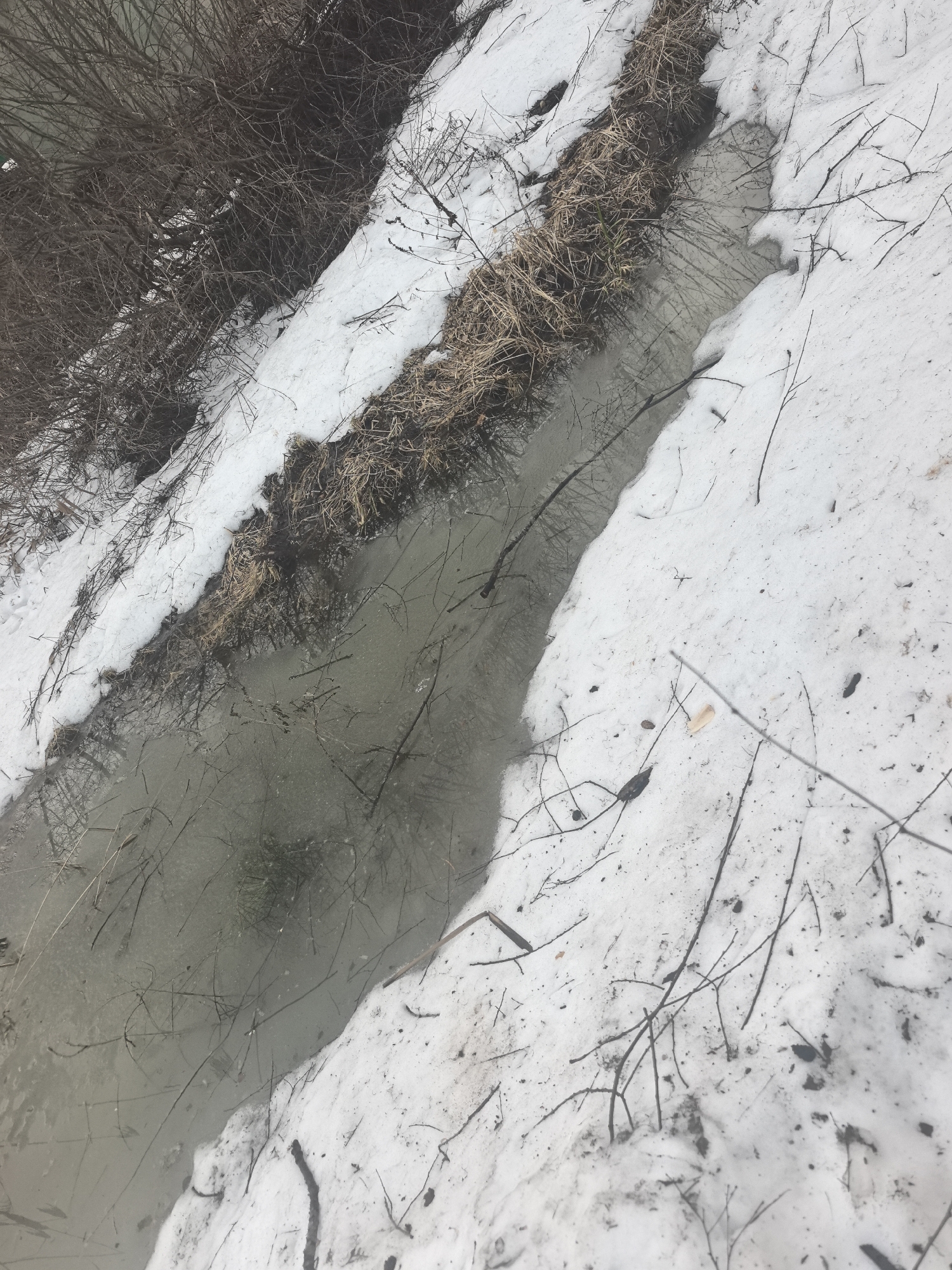 The scene depicts a narrow stream or drainage ditch partially filled with murky water and debris, bordered by snow-covered ground. Dry vegetation is visible along the edges of the stream. Thin, bare branches are scattered across the snow and submerged in the water. The environment appears to be a rural or undeveloped area, likely during late winter or early spring due to the melting snow and bare foliage. There are no people or animals visible in the image. The location is potentially near Noviy, Russia, based on the prompt, but this cannot be confirmed from visual elements alone.