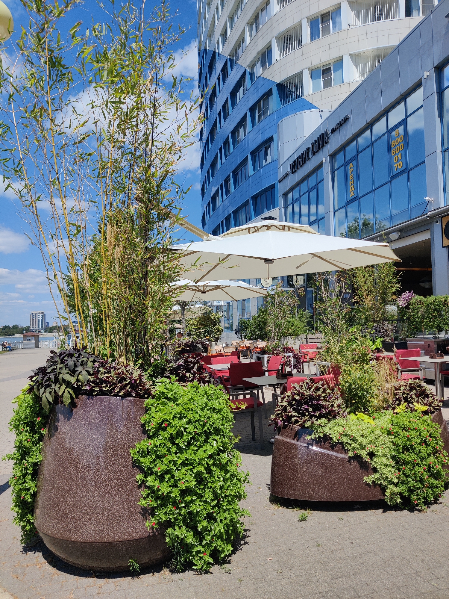 This is a medium shot of an outdoor seating area for a restaurant or cafe, situated in a modern urban environment. In the foreground, two large, dark brown planters are filled with lush greenery and tall bamboo stalks. The planters are positioned on a paved walkway. Behind the planters, tables and red chairs are set up, some covered by large white umbrellas. The seating area is adjacent to a contemporary building with a facade featuring blue glass and white detailing. Visible signage on the building includes "АРЕНДА" (ARENDA, meaning "rent") and yellow numbers. The scene is set under a bright blue sky with scattered white clouds, indicating a sunny day. In the distance, across a body of water, a multi-story building and other city structures can be seen. The overall impression is one of a well-maintained commercial outdoor space in a city. This location is identified as being in Krasnodar, Russia.