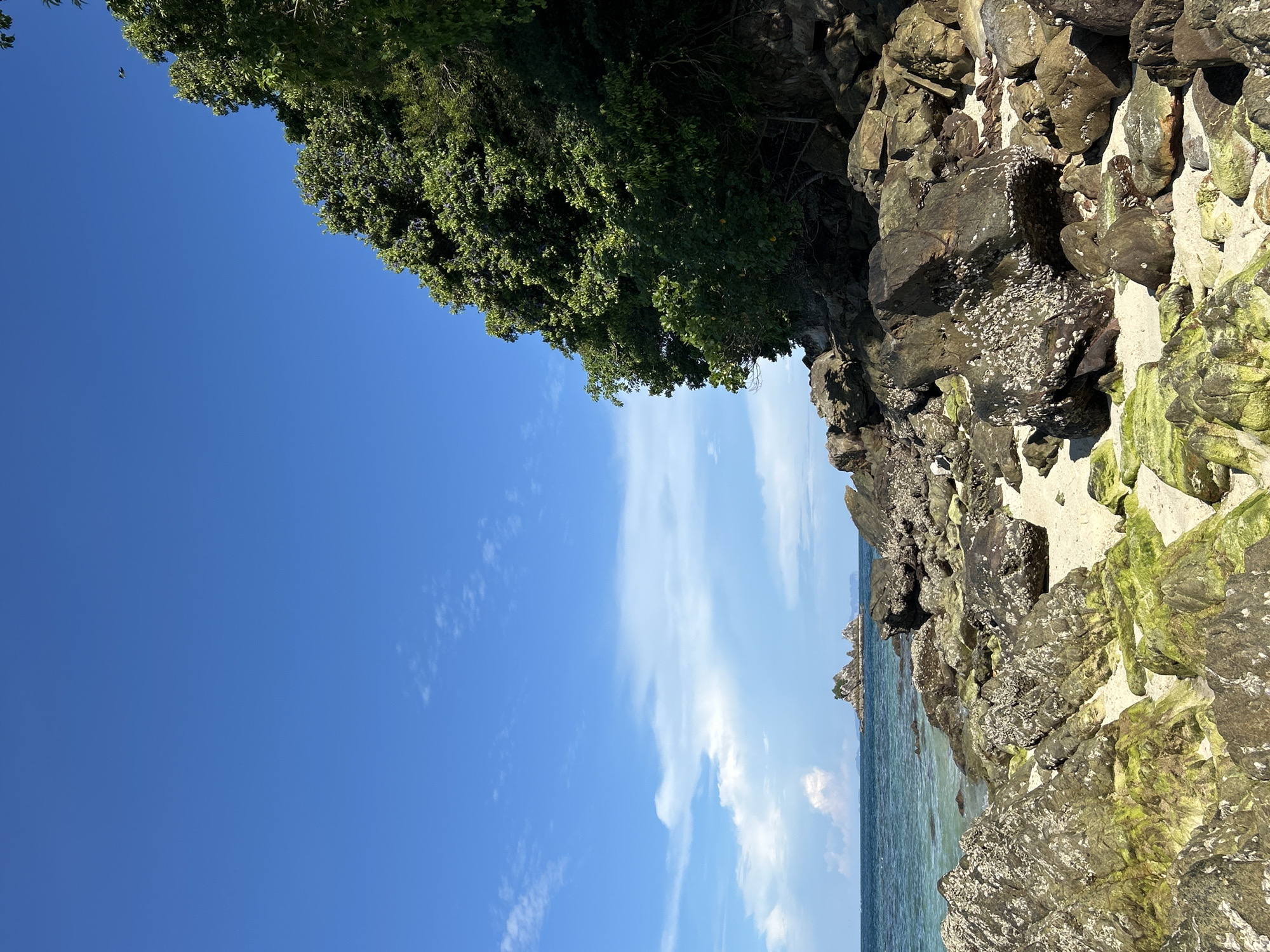 The image depicts a rocky beach scene under a bright blue sky with scattered white clouds. The foreground is dominated by dark, weathered rocks, some of which are covered in green algae and barnacles. A strip of light-colored sand is visible between the rocks. To the left, the turquoise ocean gently laps the shore, with a small, rocky island topped with vegetation visible in the distance. On the right side of the image, a dense green forest covers a rocky incline that slopes down towards the beach. The overall impression is a natural, untouched coastal landscape. The location is Tambon Phru Nai, Thailand.