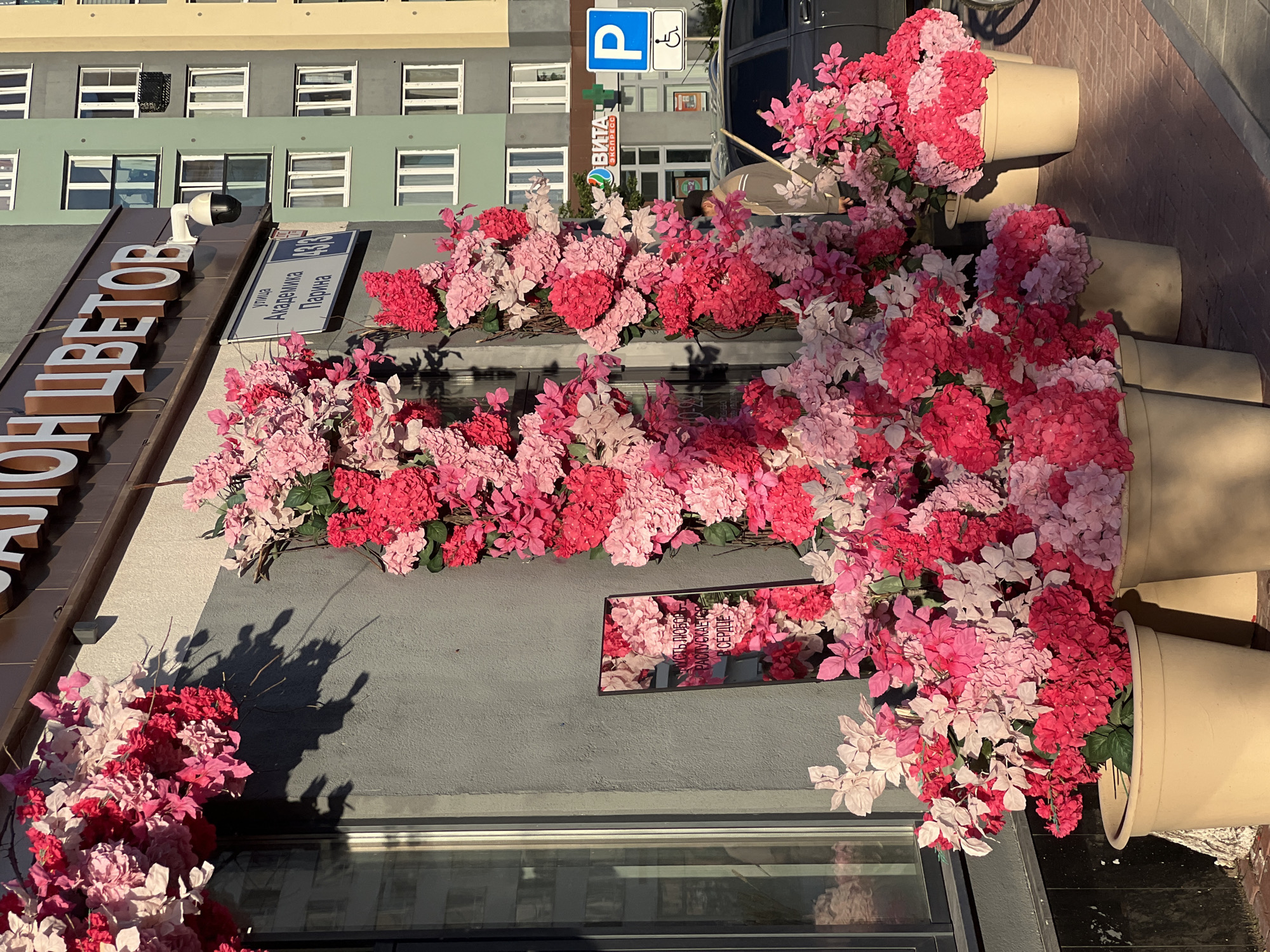 This image captures a street view in Yekaterinburg, Russia, featuring a flower shop adorned with abundant pink and red artificial flowers. The shop's sign, partially visible, reads "САЛОН ЦВЕТОВ" (Flower Salon). Adjacent to the shop, a street sign indicates "улица Академика Парина" (Academika Parina Street), with the building number "43/3". A security camera is mounted above the street sign.
In the foreground, large planters overflow with various shades of pink and red flowers, creating a vibrant display. A mirror is placed among the flowers, reflecting an inscription that appears to read "пусть любовь распускается в сердце" (May love bloom in the heart). A person, wearing a light-colored jacket and a dark cap, is visible on the right side of the frame, holding a stick and walking near a dark-colored car. In the background, a multi-story building with a pale green and beige facade is seen, featuring numerous windows. A blue parking sign with a white 'P' symbol and a wheelchair icon is also present. The scene is illuminated by sunlight, casting shadows on the building's exterior.