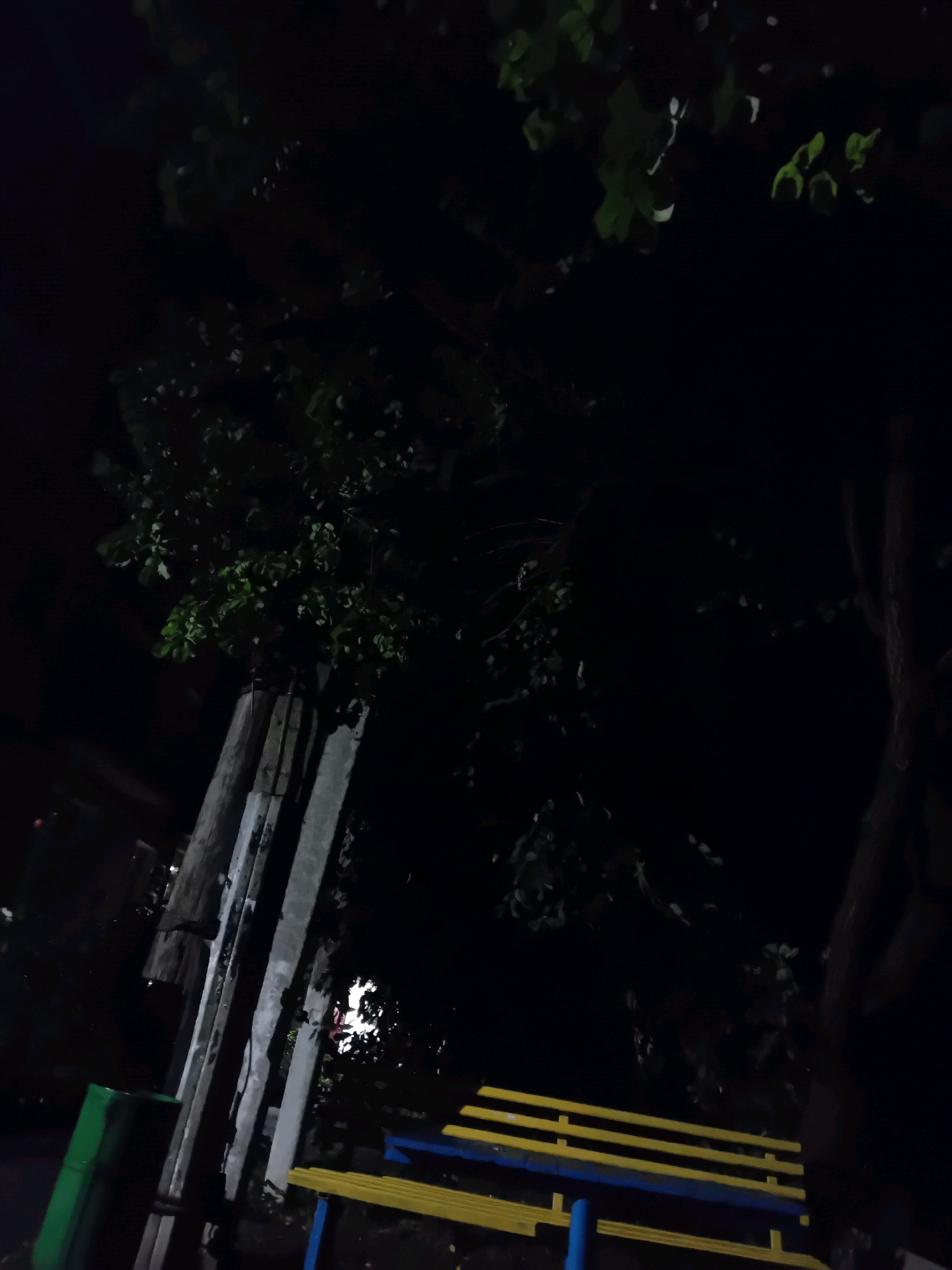 An outdoor scene at night in Chuhuiv, Ukraine, depicts a park or public area. In the foreground, a yellow and blue bench is visible, set against a dark background. To the left, a green trash receptacle stands next to two vertical concrete posts, possibly part of a structure or fence. Trees with dark foliage are prominent, with some leaves illuminated by an unseen light source, creating a dappled effect against the blackness of the night. The overall lighting suggests it is nighttime with artificial illumination present in the area.