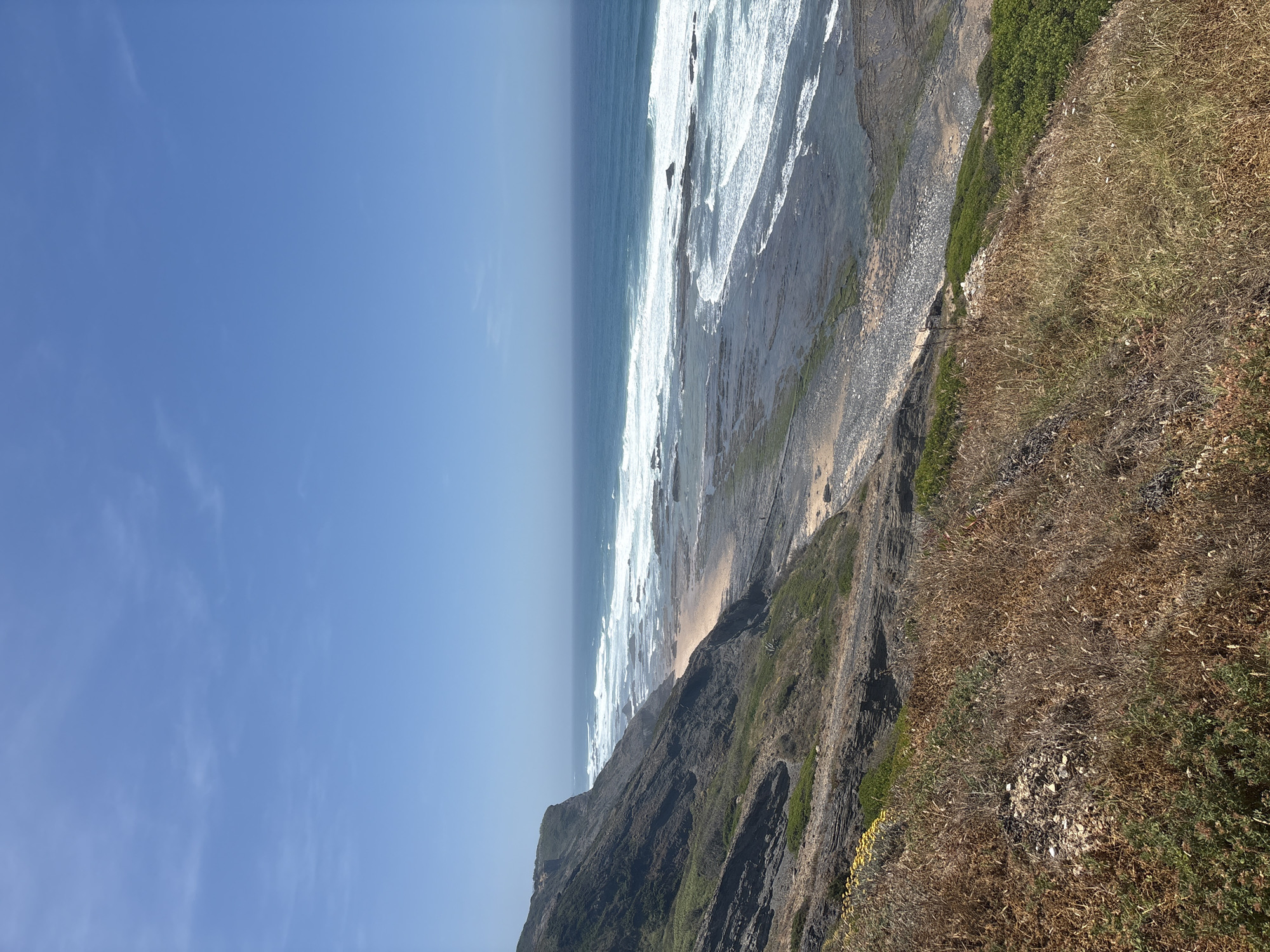 The image displays a panoramic view of a rugged coastal landscape situated near Aljezur, Portugal, under a clear, bright blue sky with minimal wispy cirrus clouds. The scene is observed from an elevated perspective, looking towards the vast expanse of the Atlantic Ocean.
The upper third of the image is dominated by the blue sky. Below the horizon, the ocean exhibits varying shades of blue, with numerous white-capped waves breaking offshore and closer to the coastline, indicating active surf. Along the shore, extensive dark grey rock shelves, partially covered with green marine growth, are exposed, suggesting a low tide. A small, light-colored sandy beach is visible, nestled at the base of a large, steep cliff on the left.
The left side and foreground of the image feature a prominent, dark grey rocky cliff face, characterized by visible geological strata, which slopes down towards the sea. This cliff is sparsely vegetated with a mix of dry brown grasses, scrub brush, and some greener foliage. The immediate foreground consists of dense, dry, straw-colored grasses and smaller green plants, with a few yellow wildflowers in the bottom left corner. A small mound of light-colored rocks is centrally located within the dry vegetation in the mid-foreground.
No discernible human figures, animals, or man-made structures are visible within the captured scene. The lighting suggests direct sunlight, indicating a daytime setting, and the overall environment appears arid and natural.