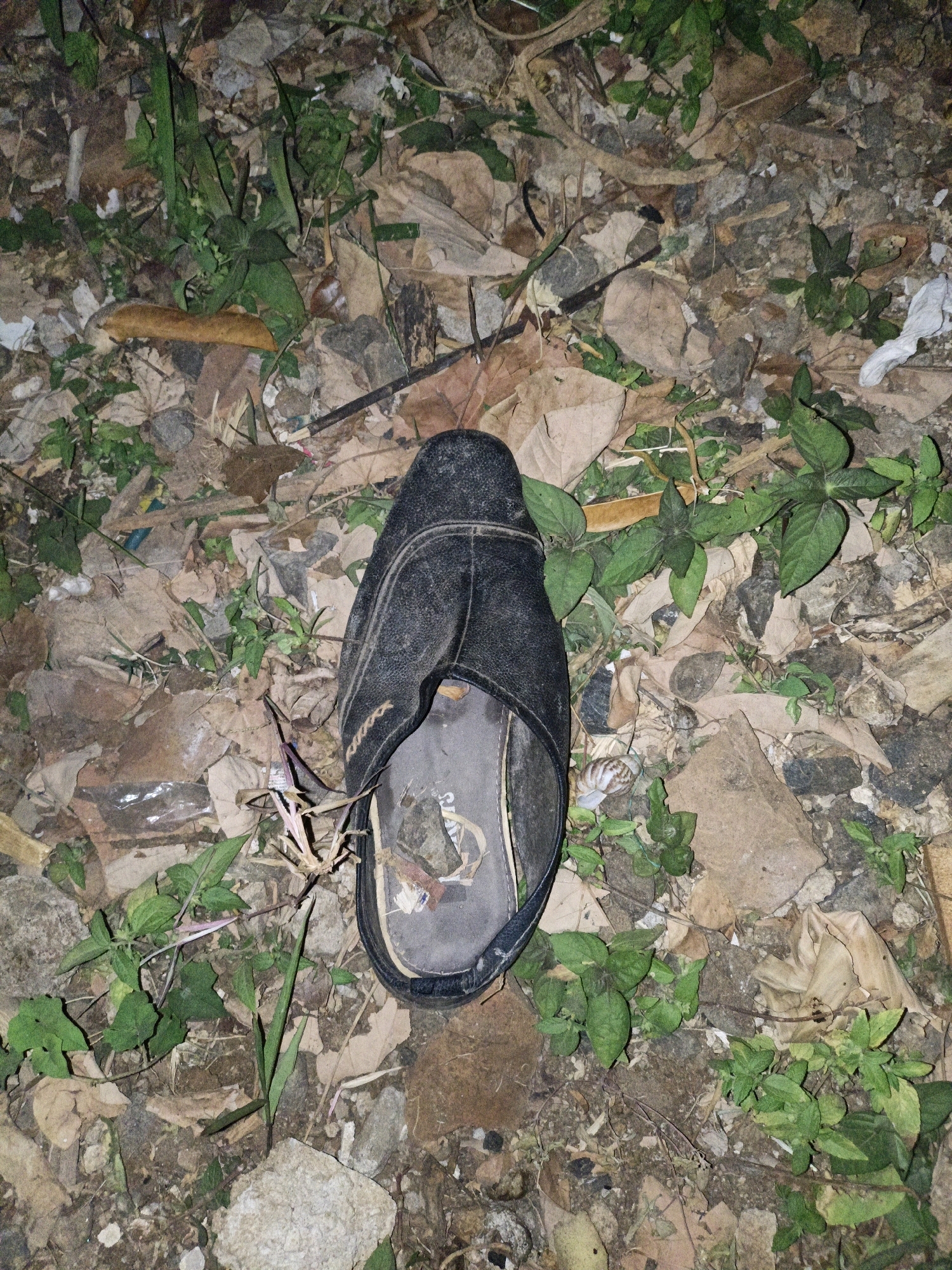 A single black sandal lies on the ground amidst dry leaves, dirt, and sparse green vegetation. The sandal appears worn and is positioned with its sole facing upwards, revealing some debris inside. The surrounding ground is uneven, with scattered rocks and organic material. The scene is set outdoors, likely in an unkempt area within the city of Cikal, Indonesia. The lighting suggests it might be dusk or a dimly lit environment. There are no visible people or animals in the image.