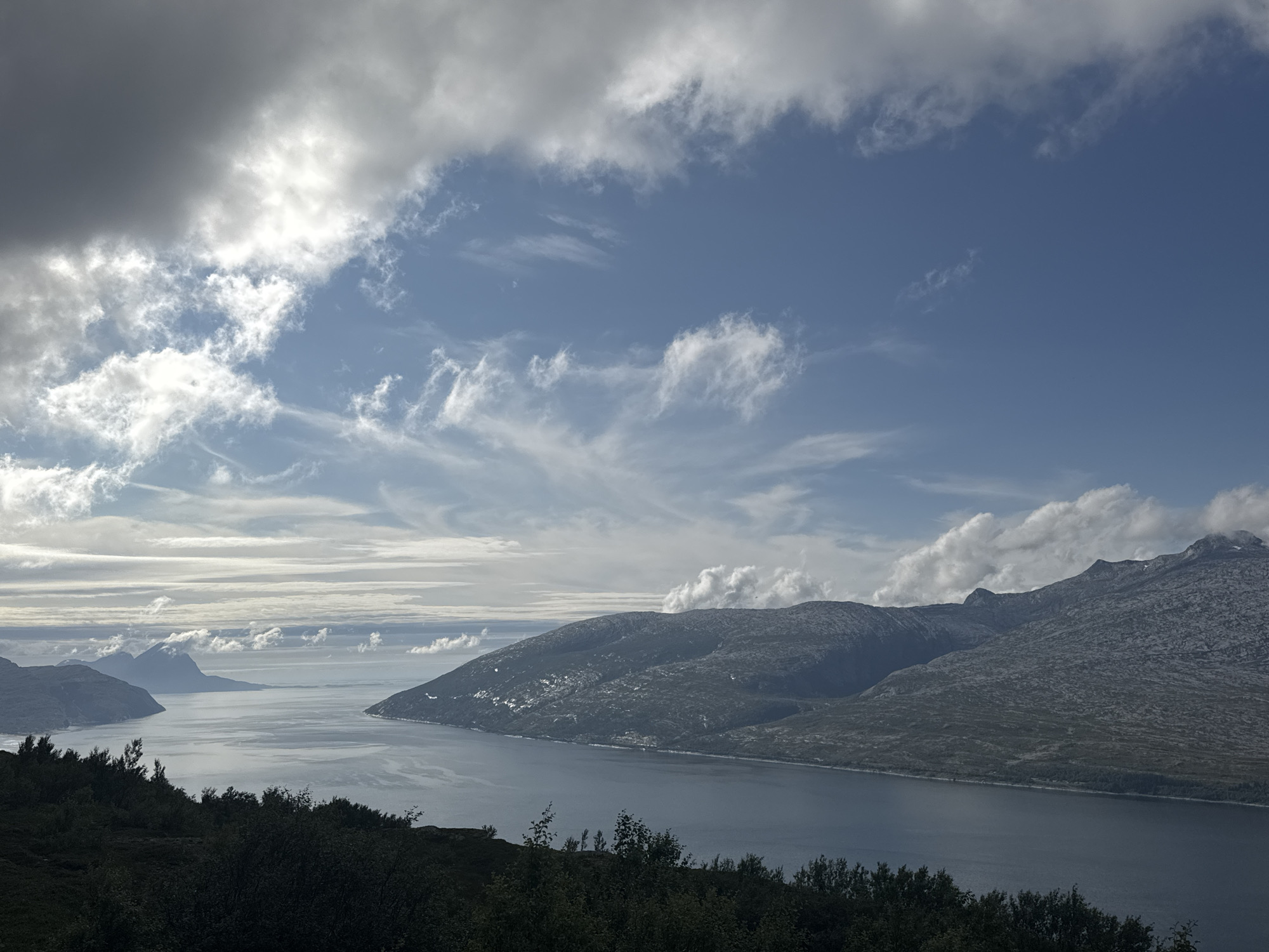 The image displays a panoramic view of a fjord landscape in Flostrand, Norway, under a partly cloudy sky. The foreground is dominated by dark, dense vegetation, likely trees and shrubs, creating a natural frame for the scene. Beyond the vegetation, a wide, calm body of water, the fjord, stretches into the distance.
The fjord is flanked by rugged, mountainous terrain. The mountains on the right side of the image are rocky and appear to be sparsely vegetated, with some patches of snow or ice visible on their slopes. The mountains on the left side are more distant and appear as darker, silhouetted forms against the horizon.
The sky is a mix of bright blue and grey clouds. Some clouds are large and puffy, while others are thin and wispy, forming streaks across the sky. The light suggests it is daytime, possibly late morning or early afternoon, with the sun intermittently breaking through the clouds, casting variations in illumination on the landscape. The overall impression is one of a serene, natural environment characteristic of the Norwegian coast. There are no people or man-made structures prominently visible in the image.