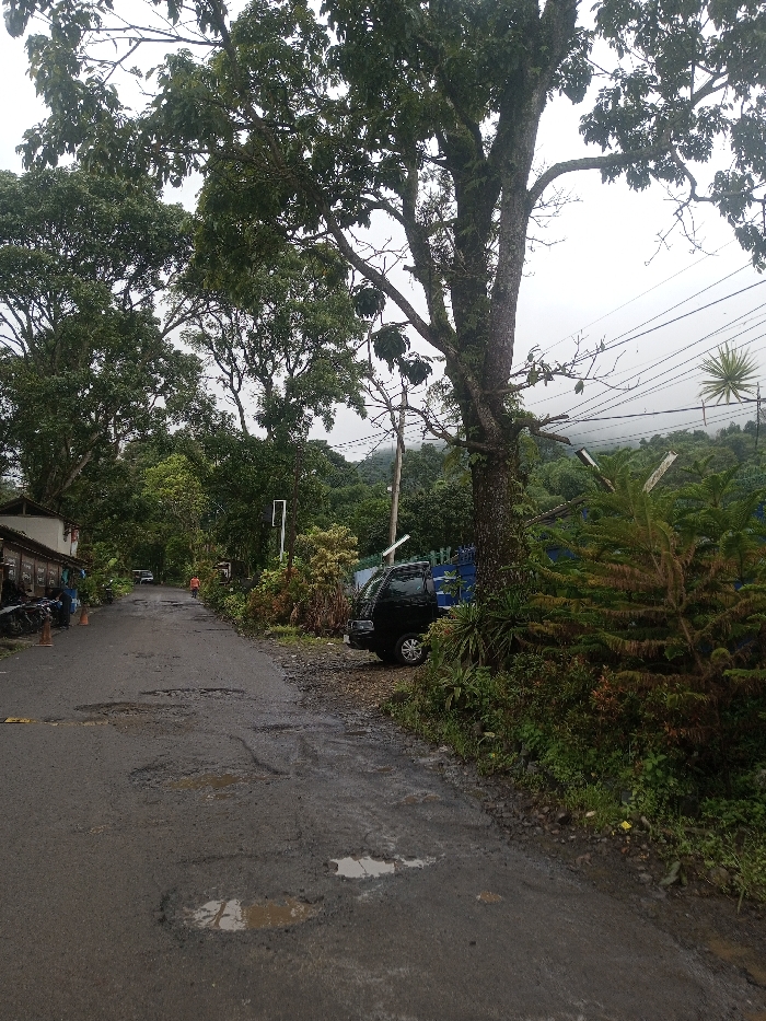A wet, pothole-ridden road winds through lush greenery. Buildings and parked vehicles line the left side of the road, while dense foliage and a tall tree dominate the right. A black truck is parked amidst the vegetation. Hills shrouded in mist rise in the background, adding depth to the overcast scene. Utility poles and wires cross the sky.