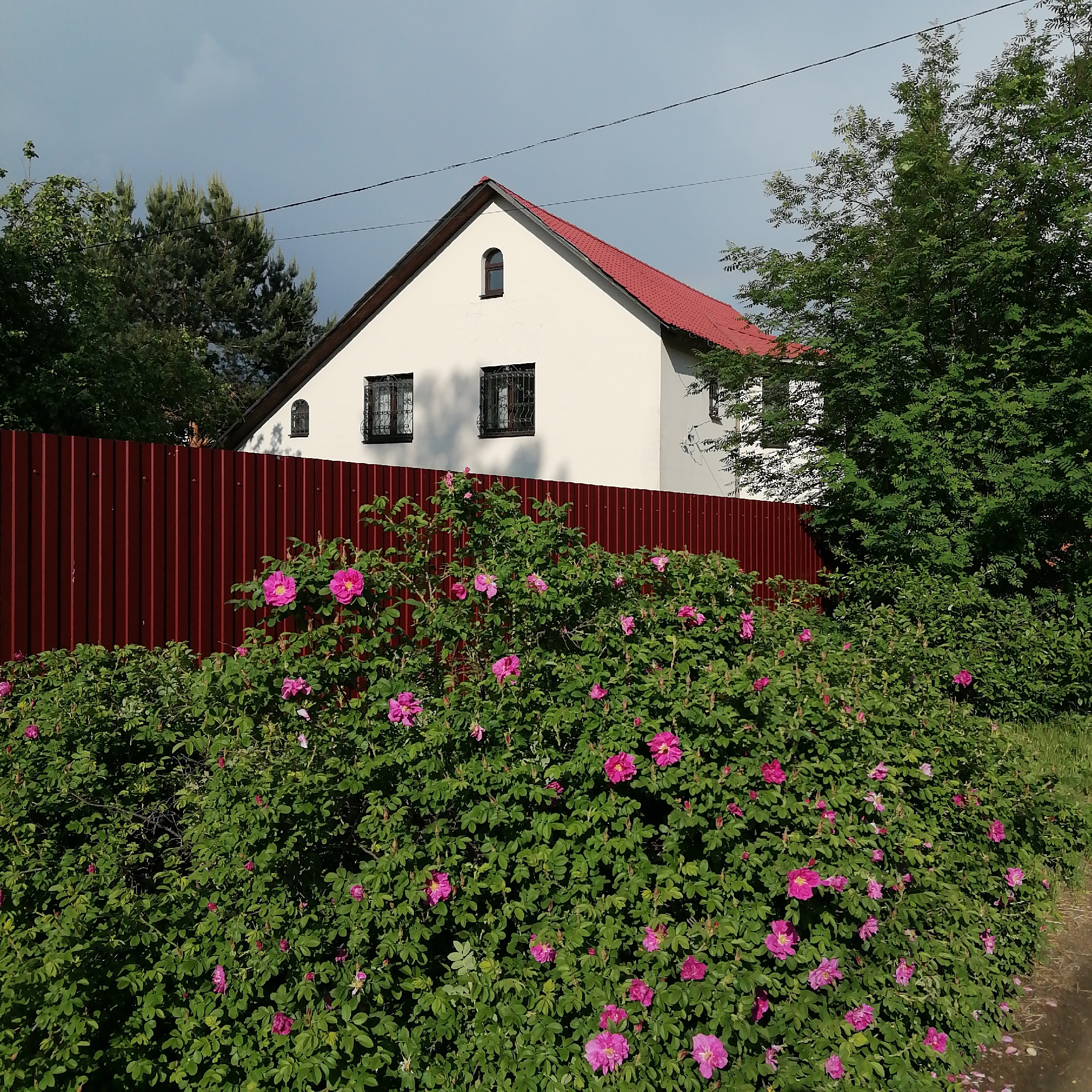A white house with a red roof is partially visible behind a red metal fence and a large bush of pink flowers. The house has a pointed roof, two windows with decorative metal coverings on the front, and a small arched window near the roof's peak. Trees partially surround the house and fence. The sky is overcast. The image was likely taken in Трубачеевка, Russia. There are no people visible.