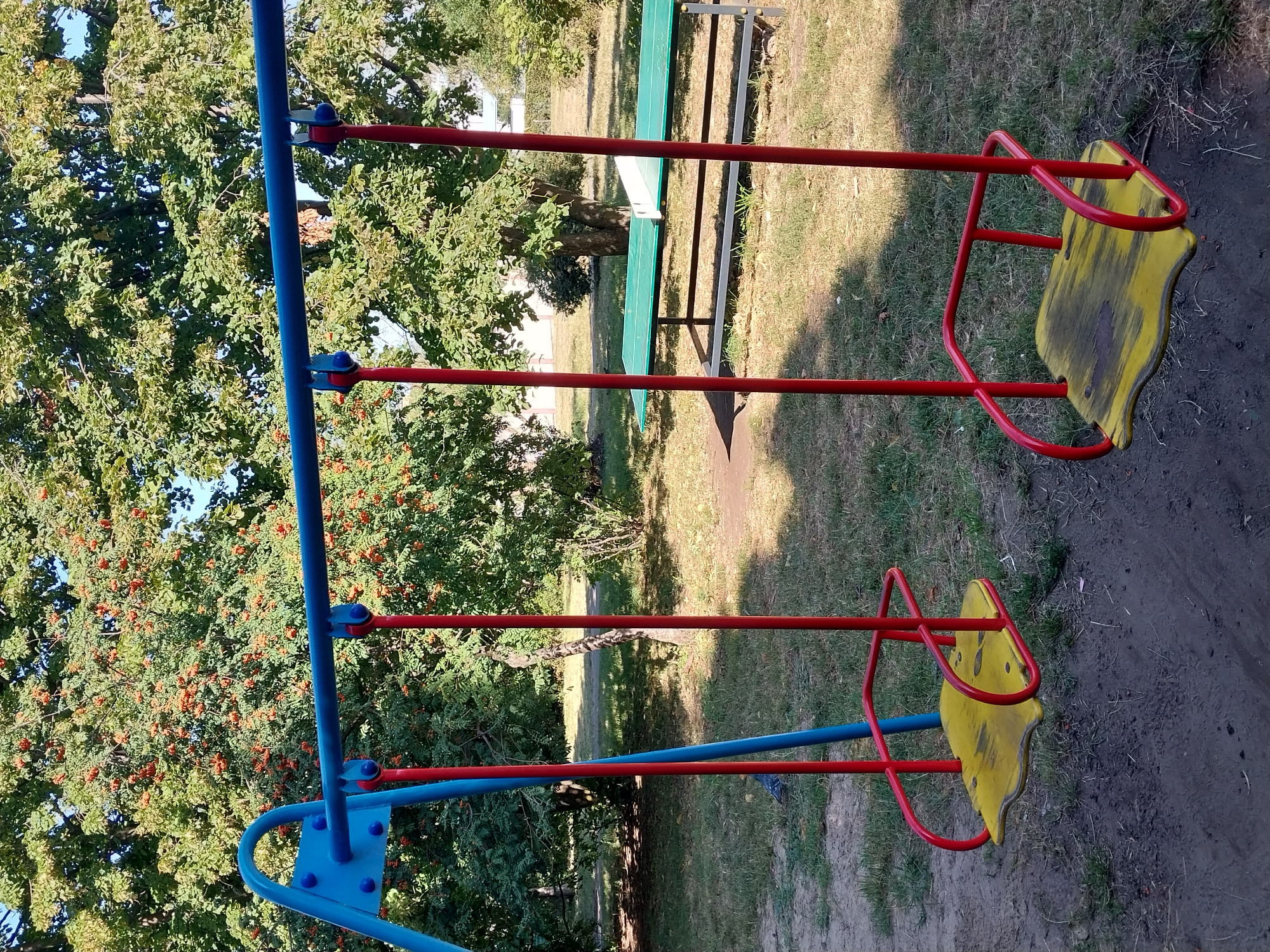 A playground scene unfolds in Doslidne, Ukraine, bathed in sunlight. A blue and red metal swing set stands prominently, its red chains supporting two yellow swing seats with red frames. Behind the swings, a lush green tree laden with clusters of bright orange berries dominates the background, its leaves rustling in the breeze. The ground beneath the swings is a mix of dirt and dry grass, with patches of shade cast by the surrounding trees. To the right, a green picnic table with a white net, suggesting a ping-pong setup, is visible. The overall impression is one of a quiet, sun-drenched day in a park or recreational area.
