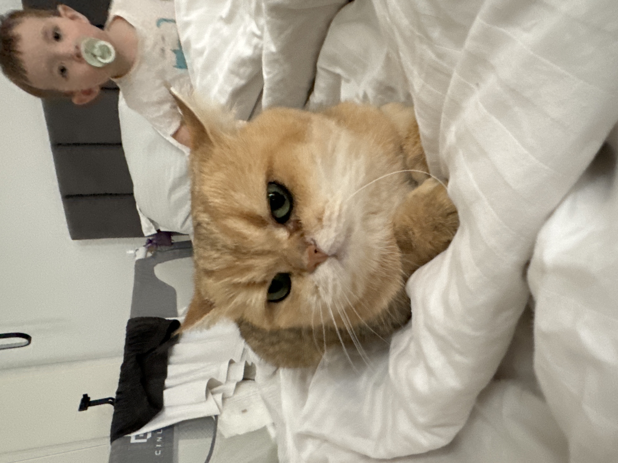 A ginger cat with green eyes is lying on a white bed in what appears to be a home. A child with a pacifier is partially visible in the upper left corner of the frame. There are gray and white patterned items of furniture in the background, and a black garment hanging over a gray ironing board. The location and city of Odintsovo, Russia, cannot be determined from the image alone.