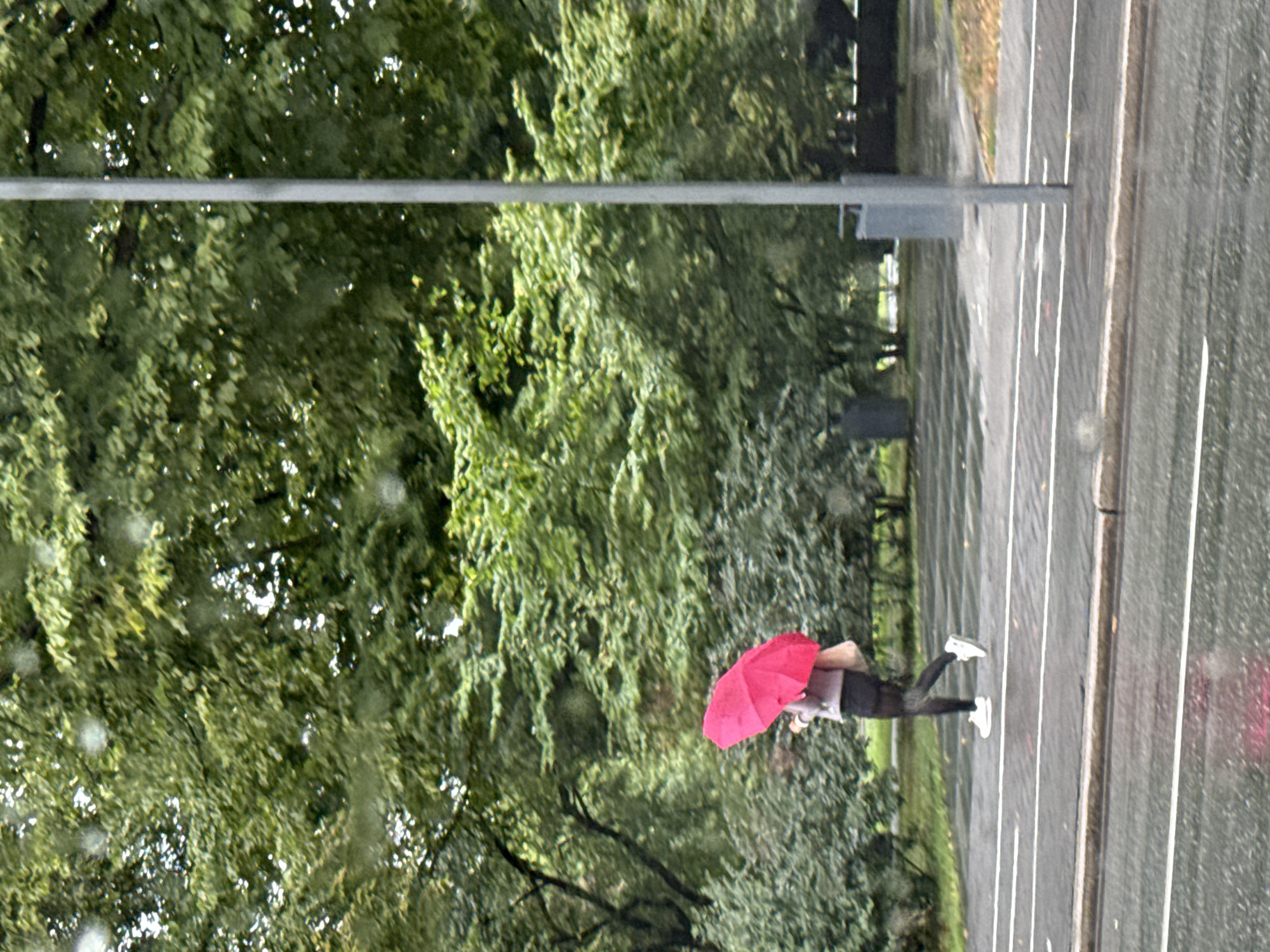A person walks across a wet, paved area, holding a bright pink umbrella. The individual is wearing dark leggings, a light-colored top, and white sneakers. A light-colored bag is slung over their shoulder. The ground is wet, with reflections visible, suggesting it is raining or has recently rained. In the background, there are lush green trees and foliage, and a tall, thin grey pole stands to the right of the frame. Further in the background, a grey rectangular structure is visible. The scene appears to be in a park or a pedestrian area within a city. While the image shows a public outdoor space, there is no specific visual information within the image to confirm its location in Tallinn, Estonia.