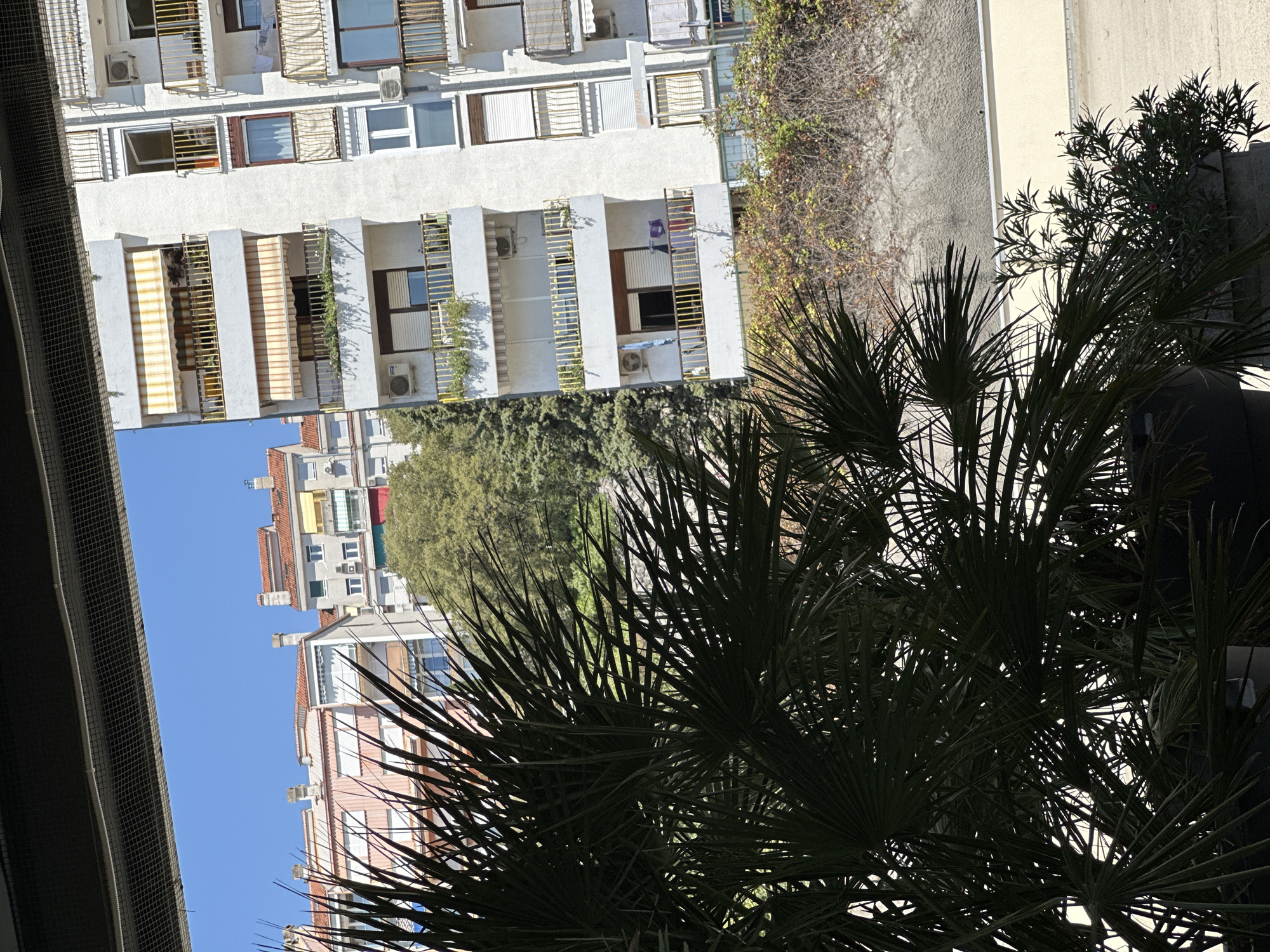 The image, taken from a high vantage point in Grad Rijeka, Croatia, showcases a cityscape under a clear blue sky. In the foreground, a large, dark green palm frond dominates the lower left, partially obscuring the view. Behind the palm, a textured grey retaining wall is visible, covered in sparse, dry vegetation.
The midground reveals several apartment buildings. To the left, a building with a salmon-colored facade and red-tiled roofs is visible, featuring numerous windows with white shutters. Adjacent to it is a grey apartment building with similar red-tiled roofs and visible chimneys. Further to the right, a taller, white apartment building stands out, characterized by multiple balconies with yellow railings. These balconies are equipped with awnings, air conditioning units, and some display potted plants. Laundry is also visible hanging from one of the balconies.
The background is filled with lush green trees, suggesting a natural landscape interspersed with urban development. The overall scene depicts a bright, sunny day in a residential area of Grad Rijeka.