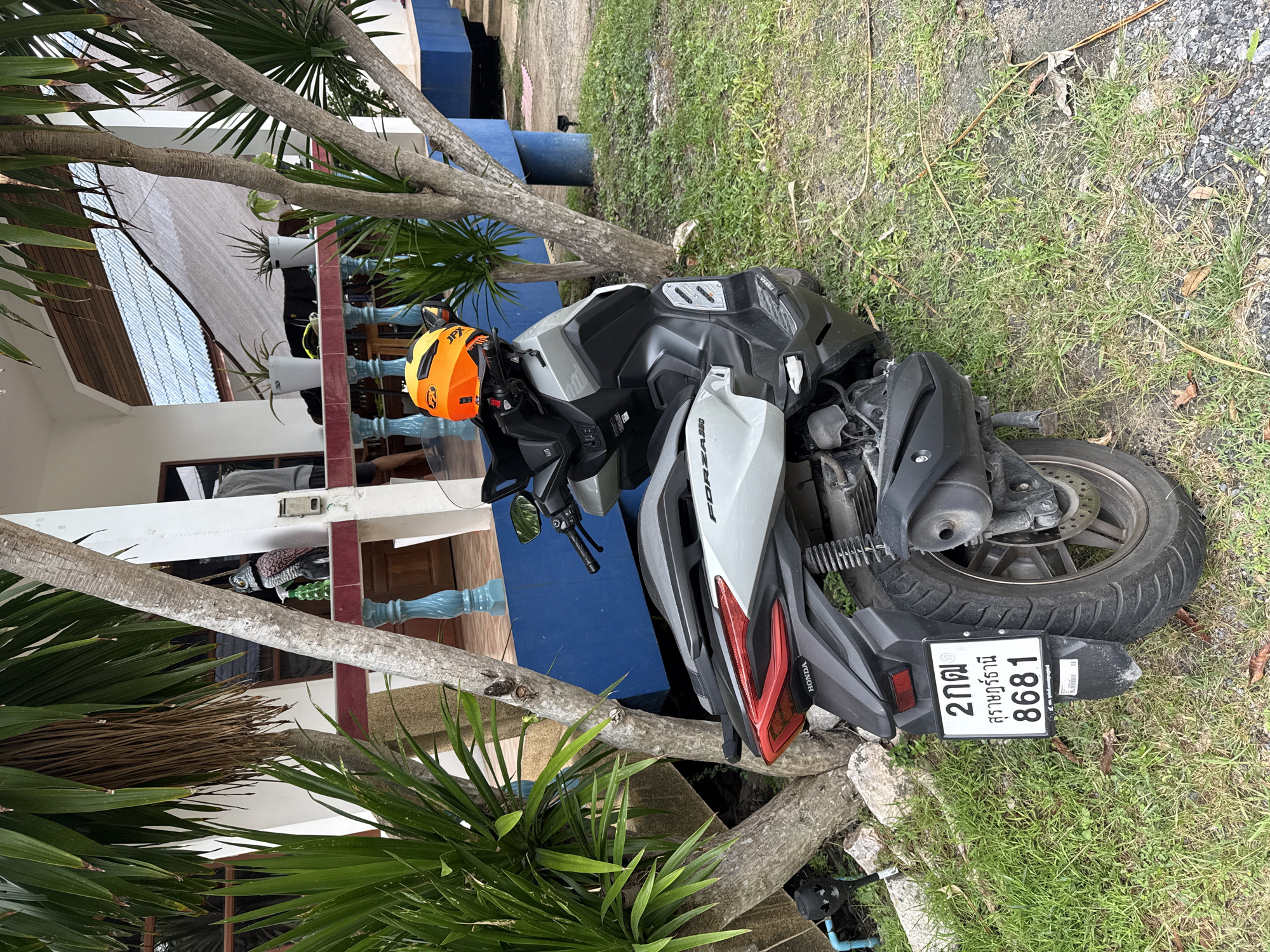 A silver and black Honda Forza scooter is parked on a grassy area next to a building with blue and white accents. An orange helmet with black accents rests on the handlebars of the scooter. The scooter's license plate, which is white with black lettering, is visible and reads "2กต สุราษฎร์ธานี 8681". Trees with green leaves are positioned around the scooter and building. The environment appears to be outdoors, possibly in a residential or tropical setting, with a gravel path visible in the lower right corner. The overall scene suggests a typical street or property view in Ko Samui District, Thailand.