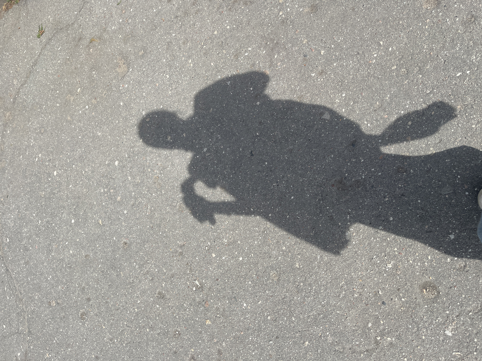 The image shows a shadow cast on a gray asphalt surface. The shadow appears to be that of a person holding something, possibly a bag or other object. The setting is likely an outdoor area with asphalt paving. There is some vegetation in the upper left corner. Given the request to include the location of Saint Petersburg, Russia, the specific location within the city is not discernible from the provided image. It is a generic asphalt-paved area, potentially a street or sidewalk in the city.