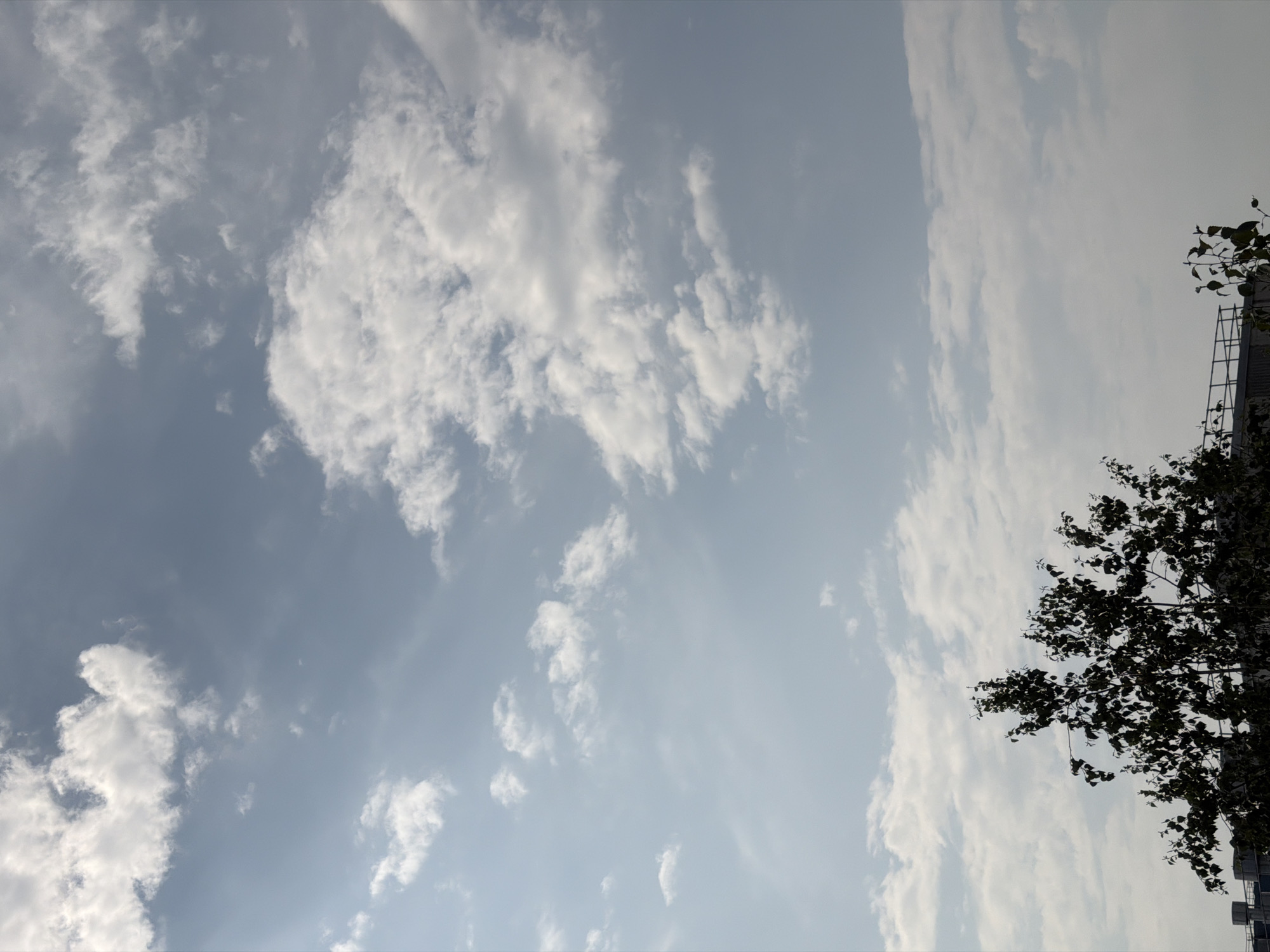 An outdoor, eye-level, vertical shot shows a dappled sky with a silhouette of trees and a rooftop in the foreground. The sky is a pale blue with scattered clouds ranging from white and wispy to dense and fluffy. The trees are dark green and leafy, obscuring much of the background. A railing and a flat roof are visible on the left side of the frame, suggesting an urban environment. The lighting is bright, indicating daytime.