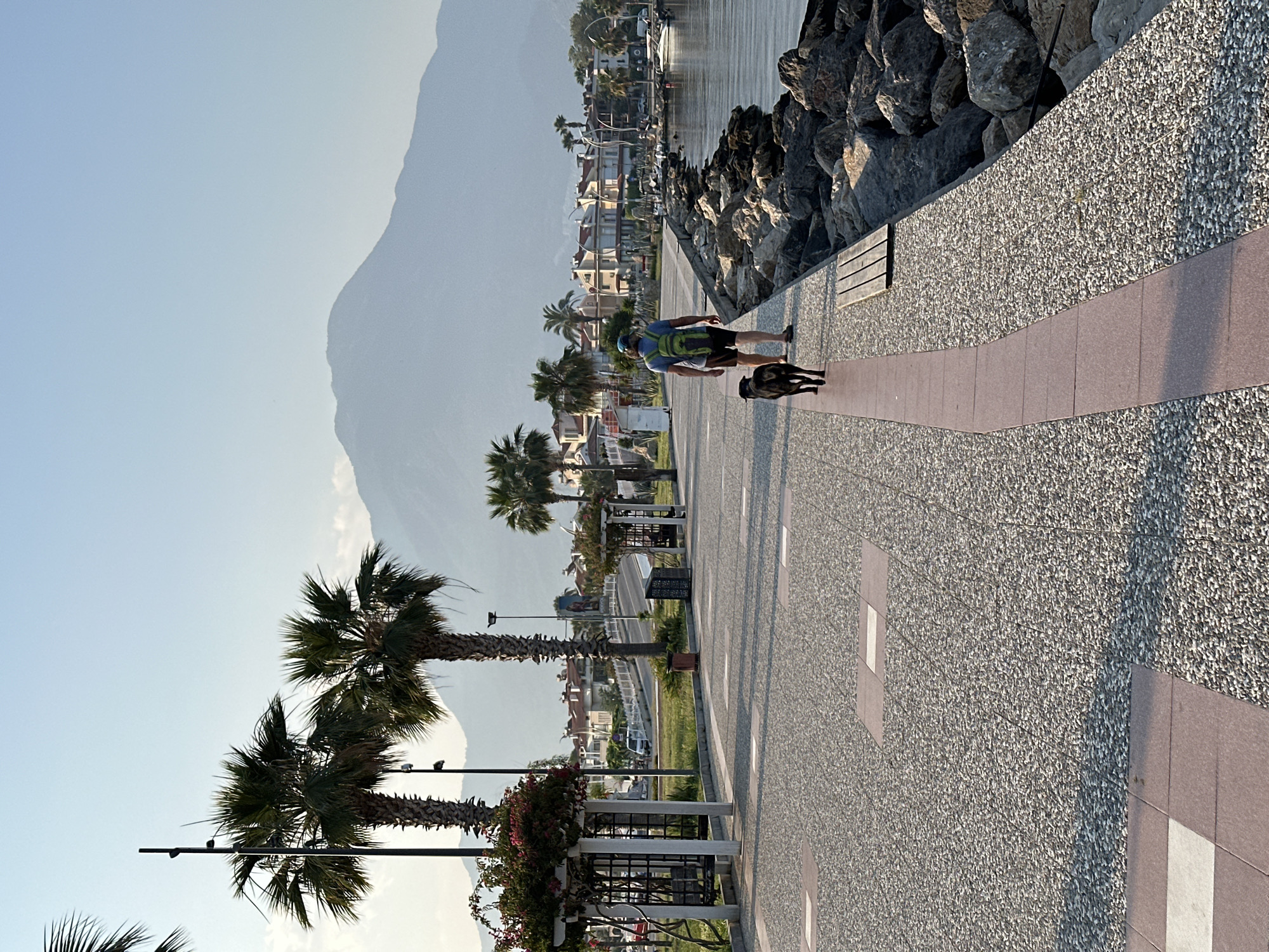 A person with a green backpack is walking a black dog along a paved promenade in Fethiye, Turkey. The promenade is lined with palm trees on one side and a rocky embankment on the other, with the sea visible to the right. In the background, there are buildings and a large mountain. The sky is clear and blue, and the sun is casting shadows. The person is wearing a blue t-shirt and shorts, and the dog appears to be a medium-sized breed. The promenade has a textured surface with inlaid pink squares.