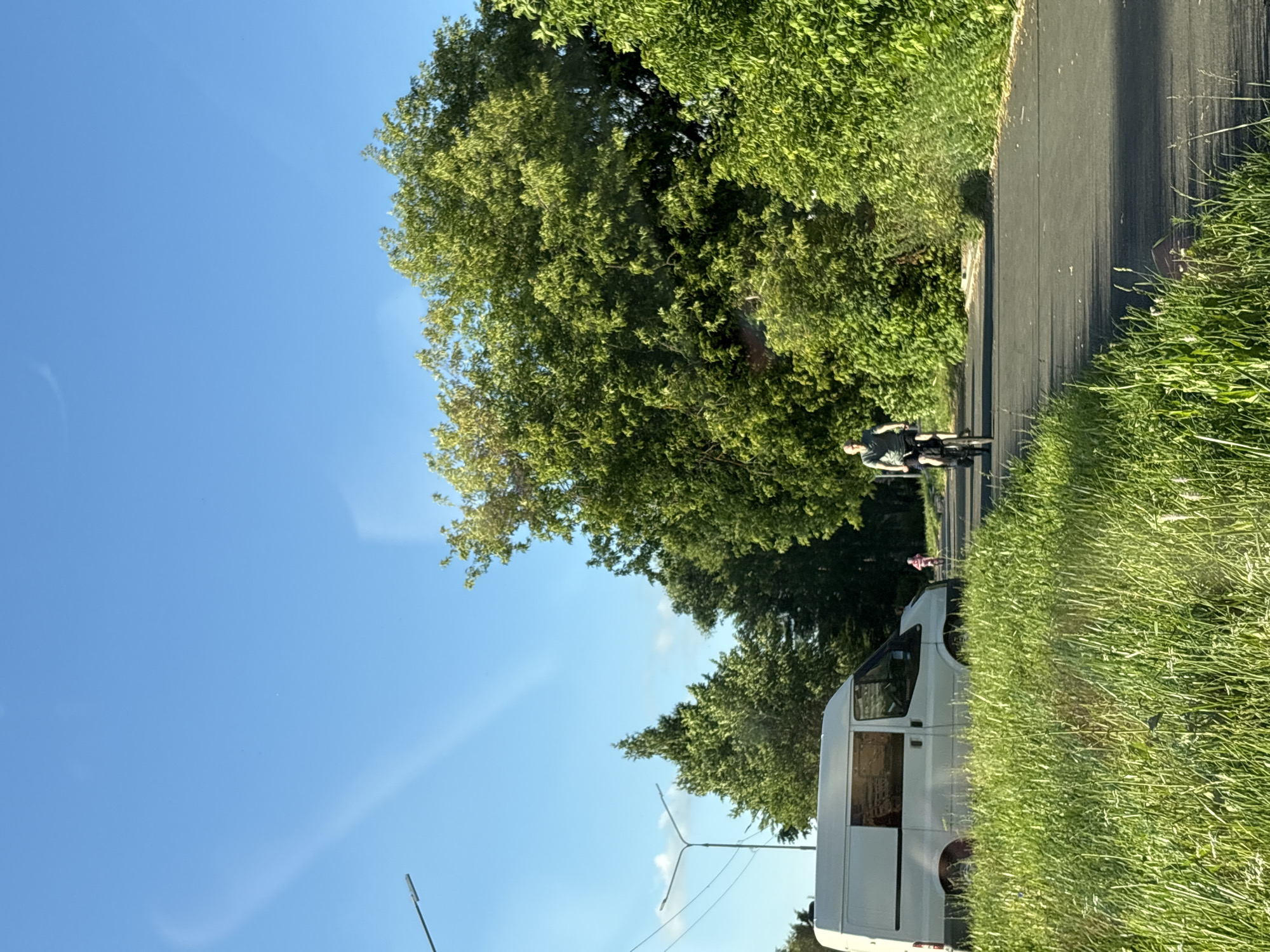 In Kirovo-Chepetsk, Russia, on a sunny day with a clear blue sky, a white van is parked on the left side of a paved road, partially obscured by tall green grass. A man is cycling on the road in the middle ground, wearing a t-shirt and shorts, facing left. Further down the road, a child is also seen cycling, facing left. Dense green trees line the right side of the road, with more trees and foliage visible in the background. Streetlights are present on the left side of the road.