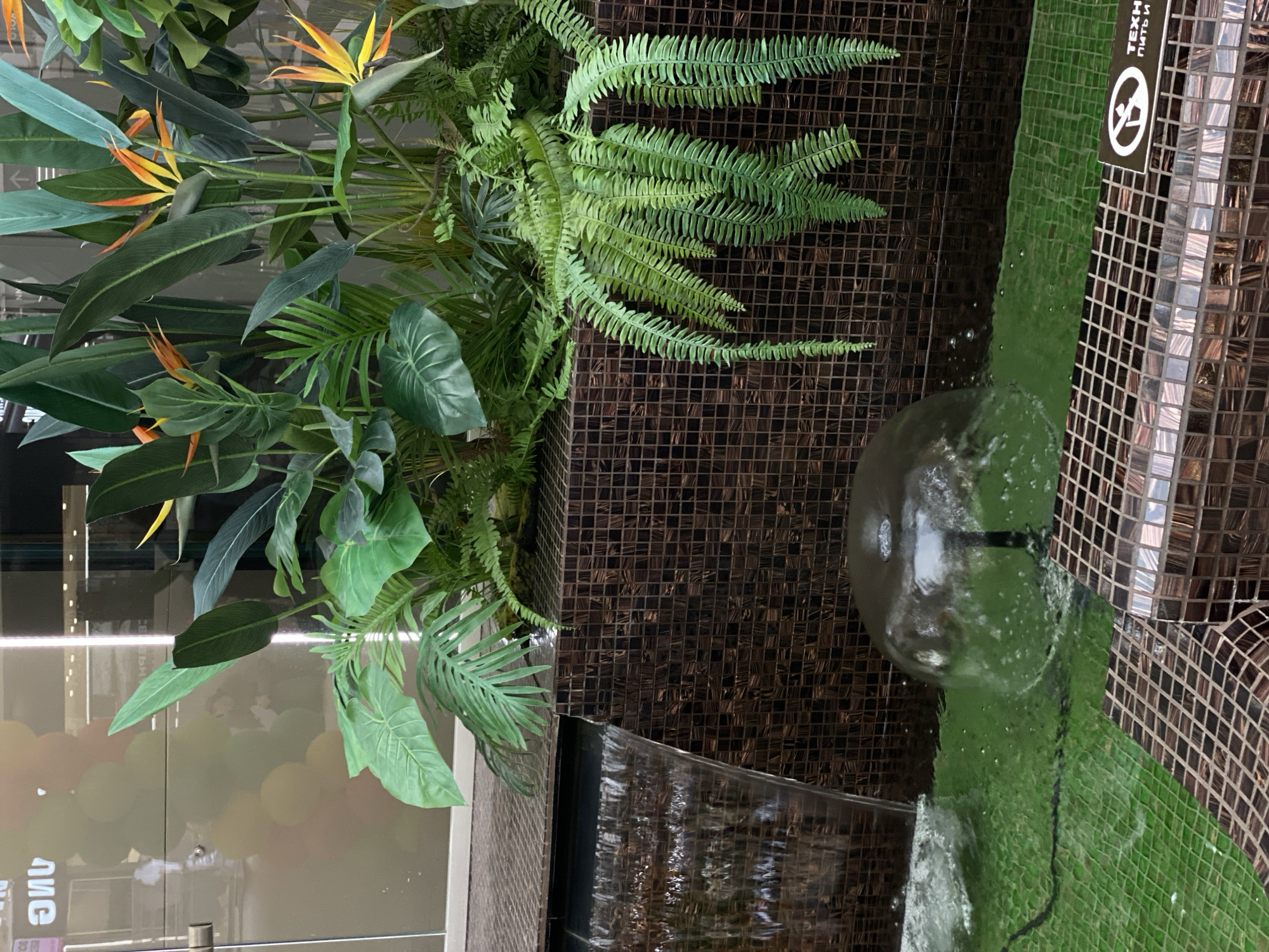 The image shows a decorative indoor fountain in Sochi, Russia. The fountain features a dark brown mosaic tile wall adorned with ferns and bird of paradise plants. A clear glass sphere sits atop the wall, with water cascading over it and down a green, grassy-textured panel. A sign with a symbol prohibiting drinking is visible on the right. The fountain is located indoors, adjacent to a glass wall reflecting a light-colored, patterned design.