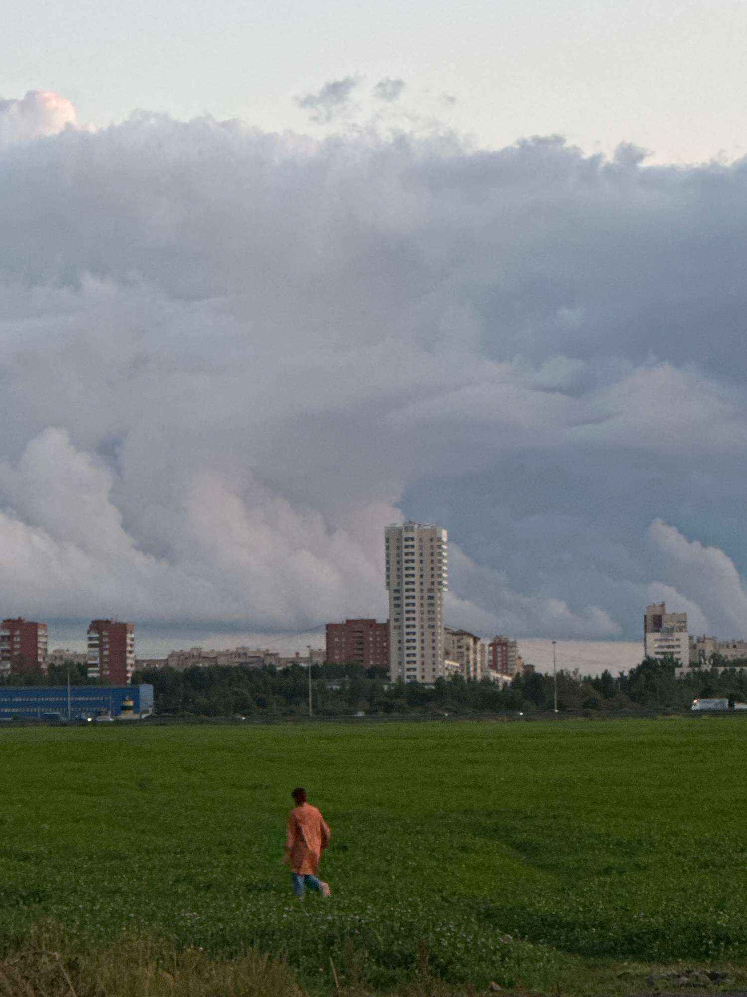 In the foreground, a person wearing an orange top and blue pants is walking across a green field. The field is dotted with small white flowers. In the middle ground, a dense line of trees separates the field from a cityscape. The cityscape features several buildings of varying heights, including tall, modern high-rises and smaller apartment blocks. The buildings are clustered together. In the background, the sky is filled with dramatic, heavy gray clouds, with hints of lighter gray and white. The overall impression is of an urban landscape under a cloudy sky, with a vast green field in the foreground.