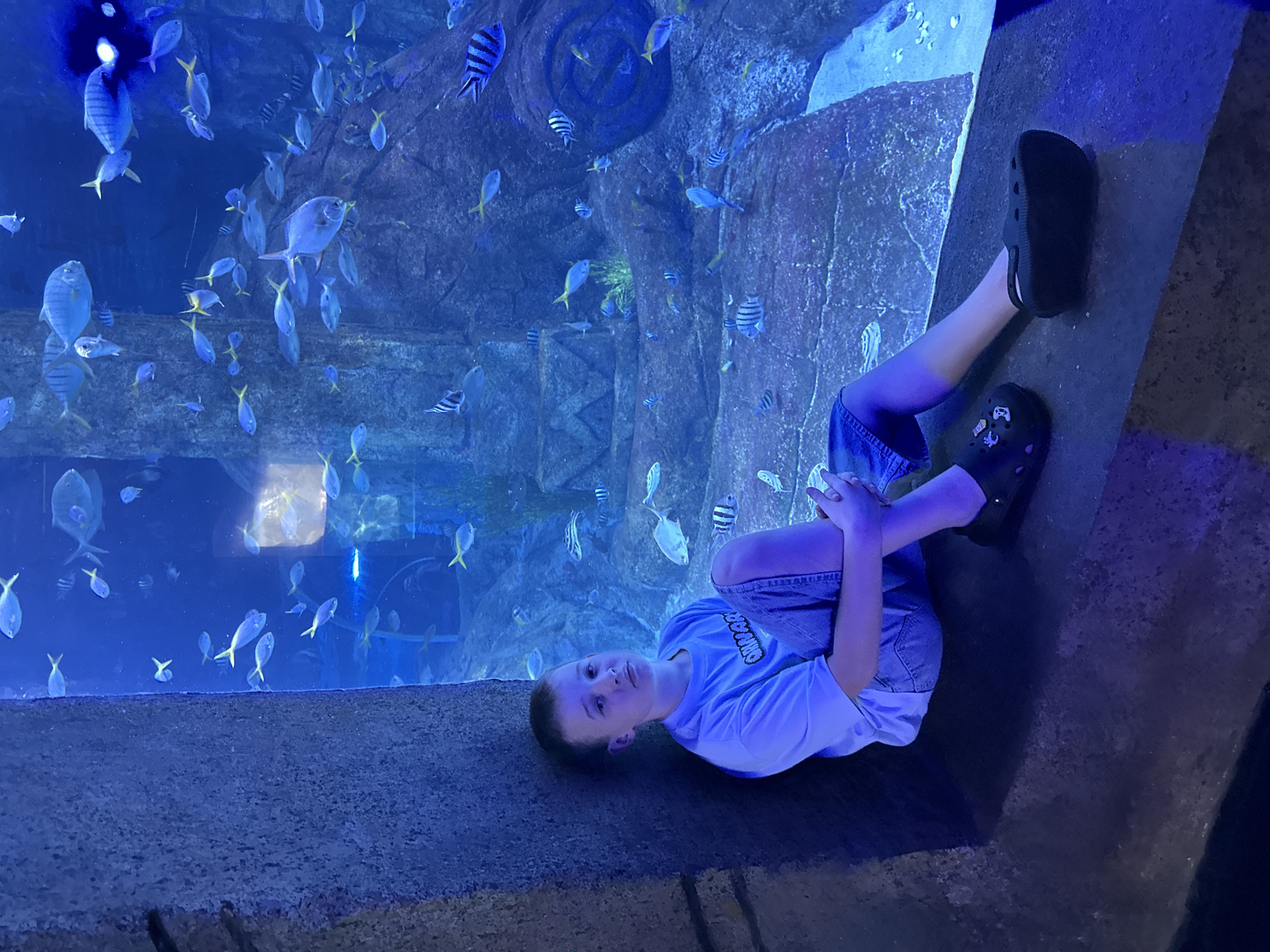 A child is lying on a ledge, facing the camera, with an aquarium behind them. The aquarium contains various fish, including yellowtail and zebra fish. The child is wearing a light blue t-shirt, denim shorts, and black Crocs with embellishments. The scene is illuminated with blue lighting. The location is likely the VinWonders Nha Trang aquarium in Nha Trang Ward, Vietnam.