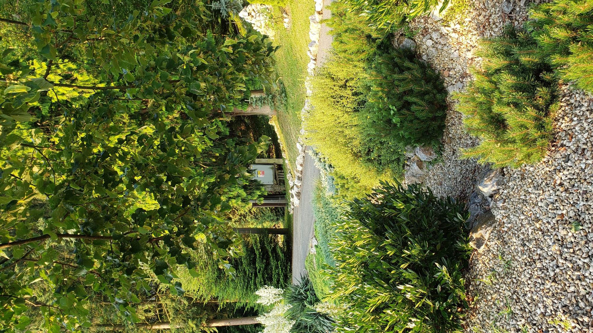 The image depicts an outdoor scene featuring lush green vegetation, a gravel pathway, and a concrete structure with signage. Dominating the foreground are various shrubs, including a dense, dark green bush on the left and smaller, lighter green conifer bushes to the right. The pathway, composed of light-colored gravel and stones, curves through the landscape. In the middle ground, a paved path is visible, bordered by white stones and grass. Further back, a light-colored concrete electrical cabinet or utility box with red and yellow warning signs is situated near a grassy slope. Tall trees with dense green foliage form a canopy overhead and in the background, interspersed with other evergreen trees. The lighting suggests it is daytime, with sunlight filtering through the leaves and casting shadows. There are no people visible in the image.
The location is identified as being in the city of Prešov, Slovakia, specifically within the area of the Dlhý rad complex, which houses various municipal services including an electrical substation.