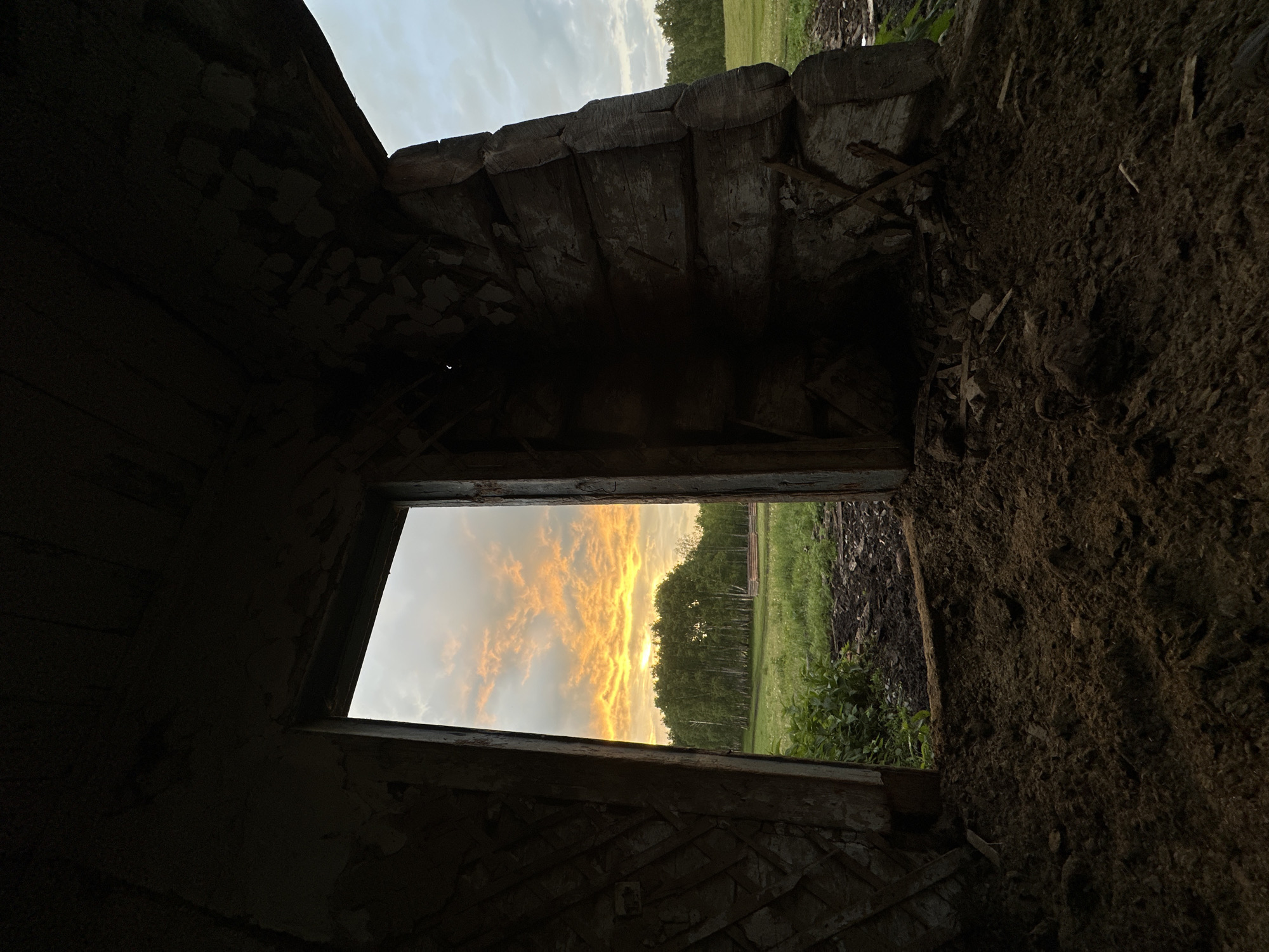 The image is a low-angle, wide shot taken from inside a dilapidated structure, looking out through an opening. The interior of the structure is dark and appears to be made of rough-hewn wood and possibly dirt or mud walls, with debris scattered around. The opening frames a vibrant sunset scene.
The sky is filled with dramatic, fiery clouds, illuminated in shades of orange, yellow, and pink, suggesting the sun is low on the horizon. Below the sky is a dense line of trees, appearing as a dark silhouette against the colorful sky. Beyond the trees, a lush green field stretches out, dotted with some foliage. The overall impression is one of rustic decay juxtaposed with the beauty of nature at dusk.
The time of day is clearly sunset, due to the intense colors in the sky and the low angle of the sun. The weather appears to be clear, allowing for a dramatic sunset display. There are no people visible in the image. The structure itself suggests a rural or abandoned location, possibly an old shed, cabin, or even a partially collapsed building. The emotion conveyed is one of quiet contemplation, with the contrast between the decaying interior and the beautiful exterior hinting at themes of time, nature, and perhaps forgotten places. No text is visible in the image.