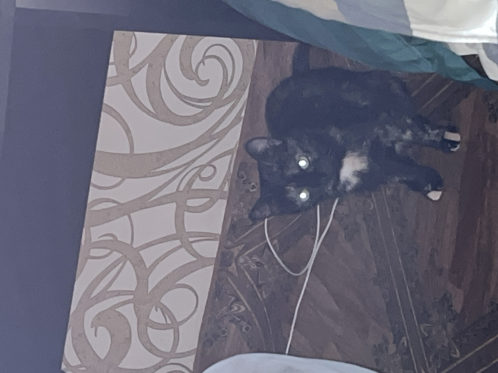 A tortoiseshell cat with bright green eyes lies on a wooden surface, appearing to look directly at the camera. The cat's fur is a mix of black, brown, and lighter patches. A white cord is draped near the cat's head and body. In the background, to the left, is a section of wall with a patterned wallpaper in beige and white. The pattern consists of swirling, organic shapes. To the right and behind the cat, the wooden surface has a dark, patterned texture that resembles wood grain or an intricate design. Above the cat, a glimpse of striped fabric can be seen, with bands of white and blue/green. The lighting suggests an indoor setting, possibly at night or in a dimly lit room, given the reflection in the cat's eyes. There is no visible text in the image. The overall scene is one of a domestic setting, with the cat as the central subject.