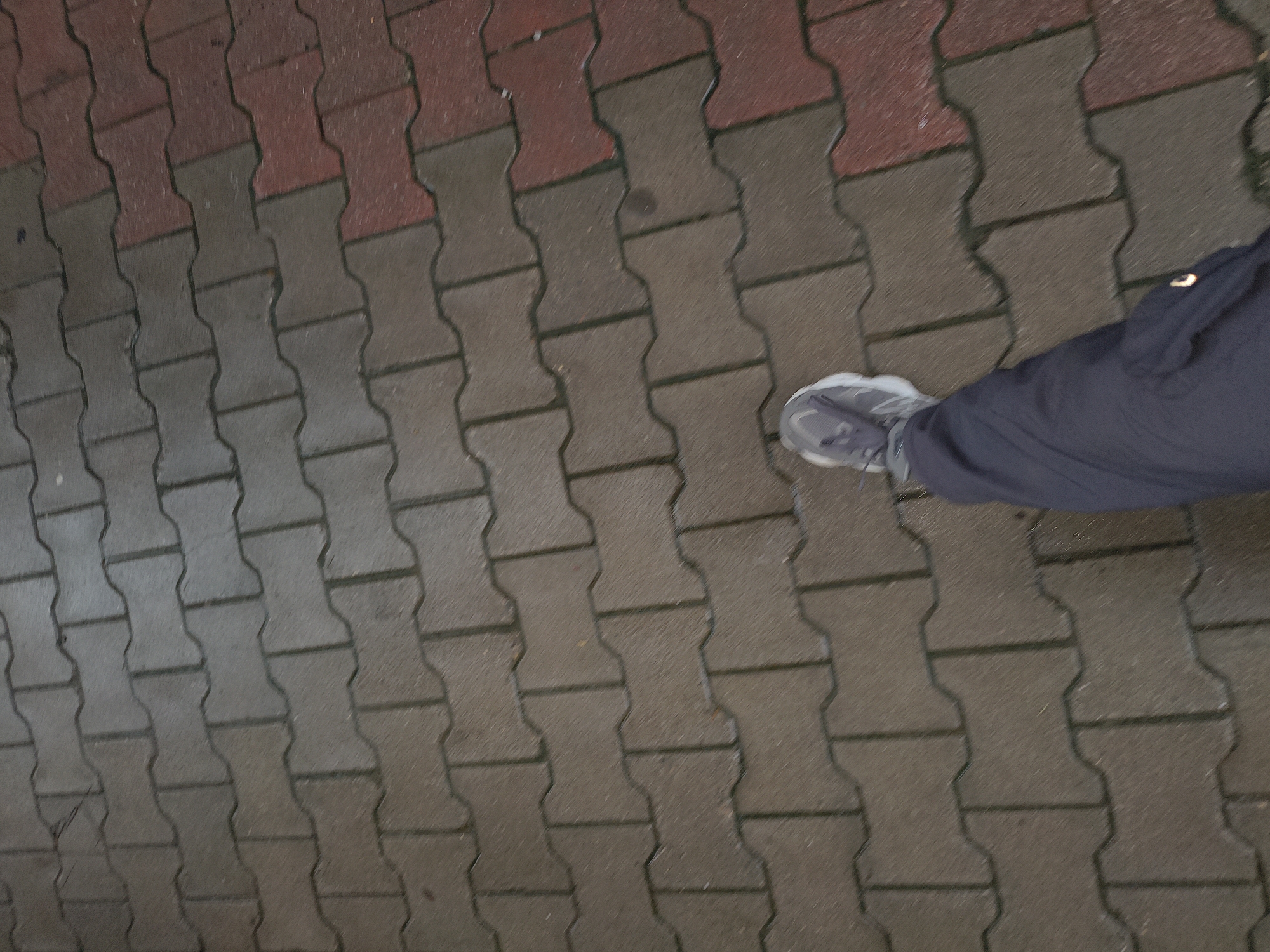 An overhead, slightly angled shot shows a person's left leg and foot on a wet, interlocking paver pathway in an outdoor urban setting. The pavers are predominantly gray with some reddish-brown ones visible at the bottom right. The person is wearing dark, possibly navy blue, trousers and a gray athletic shoe with white accents and laces. The shoe is positioned on one of the gray pavers. The ground appears damp, indicating recent rain or wet conditions. The pathway is constructed of irregularly shaped, interlocking concrete blocks arranged in a staggered pattern. The background consists of more of the same paver pattern, extending out of frame.