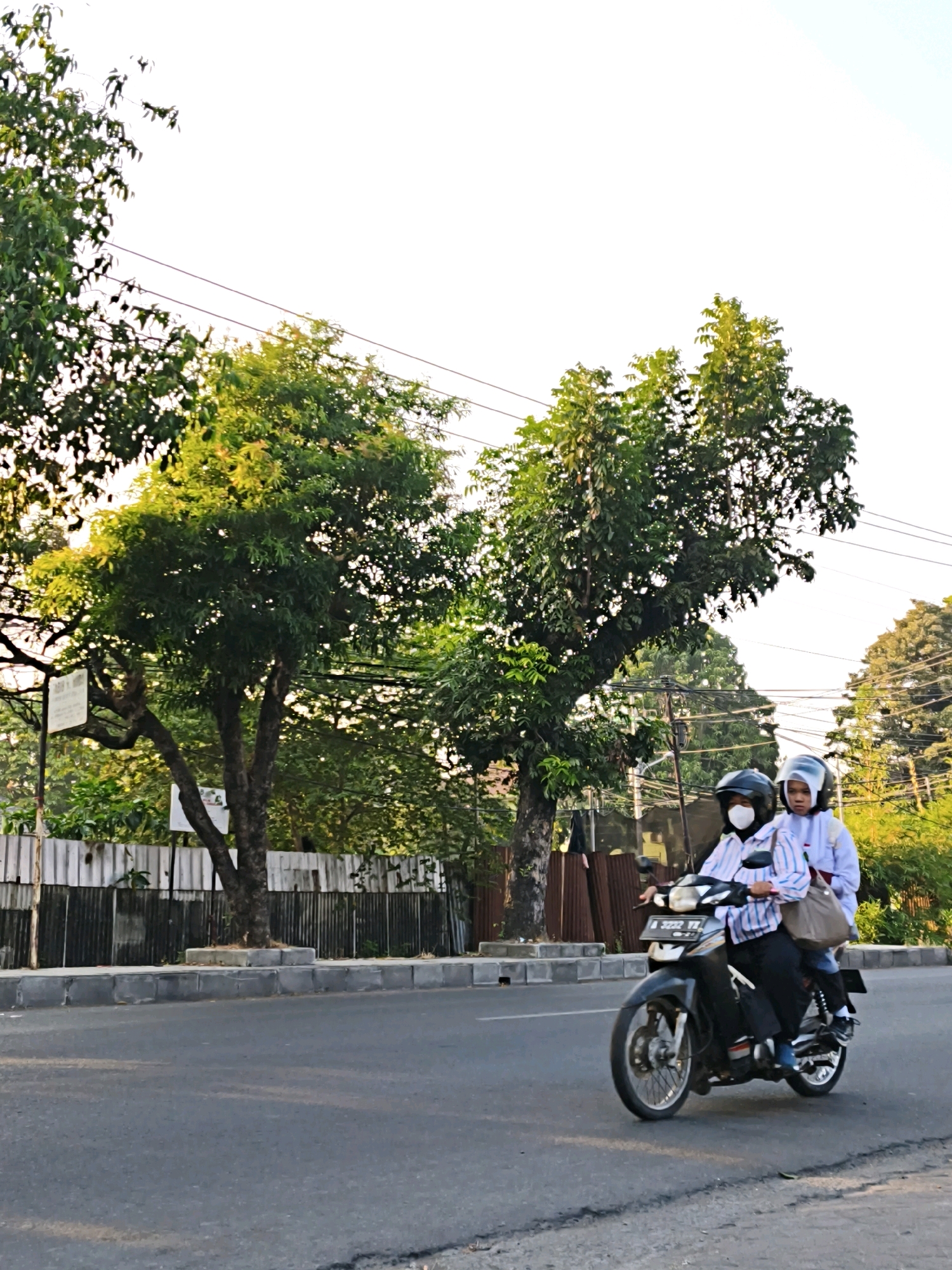 Two individuals are riding a motorcycle on a paved street. The person in front is wearing a blue and white striped shirt, black pants, a black helmet, and a white mask. The person in the back is wearing a white jacket and has a white helmet with a small bag slung over their shoulder. The motorcycle is black and has a license plate that reads "AD 3332 TP". They are in motion, on the right side of the road.
Behind the motorcycle, there is a grey concrete sidewalk with a metal fence. Beyond the fence, there are several trees with lush green foliage. One of the trees has a sign attached to it. The sky is a bright, clear white, suggesting it is daytime. The overall environment appears to be a street in a city, possibly in a tropical or subtropical region, given the dense vegetation. The street itself shows some wear and tear with visible cracks. The lighting suggests it is either early morning or late afternoon, with sunlight filtering through the leaves of the trees. This scene is likely located in Surakarta, Indonesia, a city known for its cultural heritage and tropical climate.