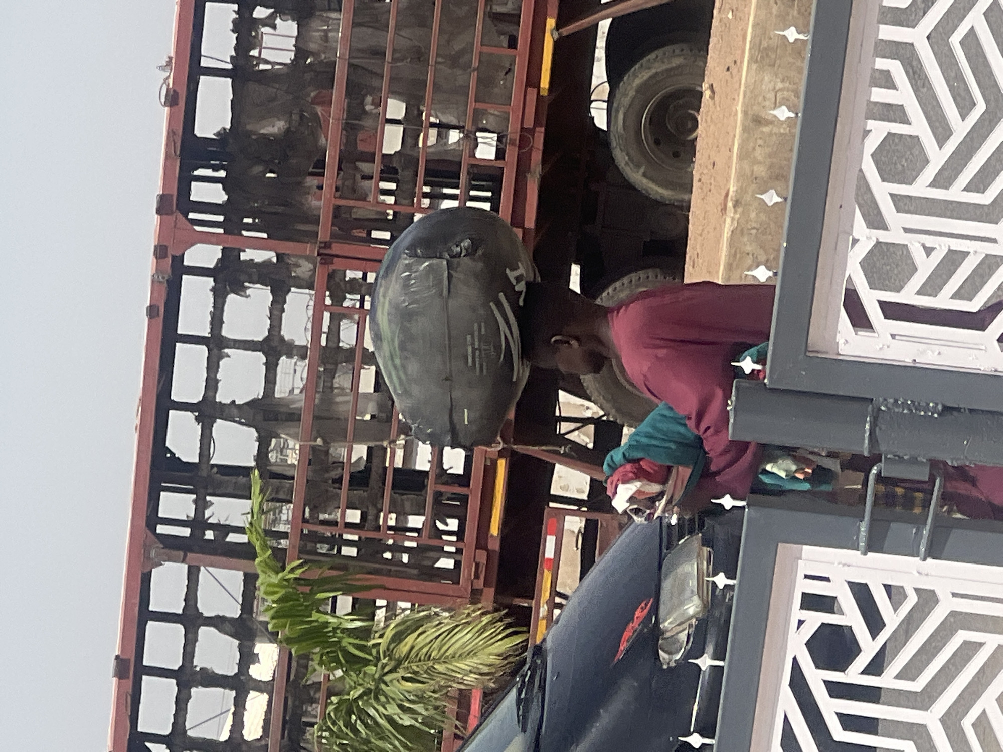 In Barakin Lerawi, Nigeria, a man is carrying a large, dark-colored bag on his head near a truck loaded with materials secured by a metal cage. The man is wearing a maroon shirt. A small palm tree is visible near a dark-colored vehicle with a partially visible headlight. A decorative metal gate is partially in the foreground.