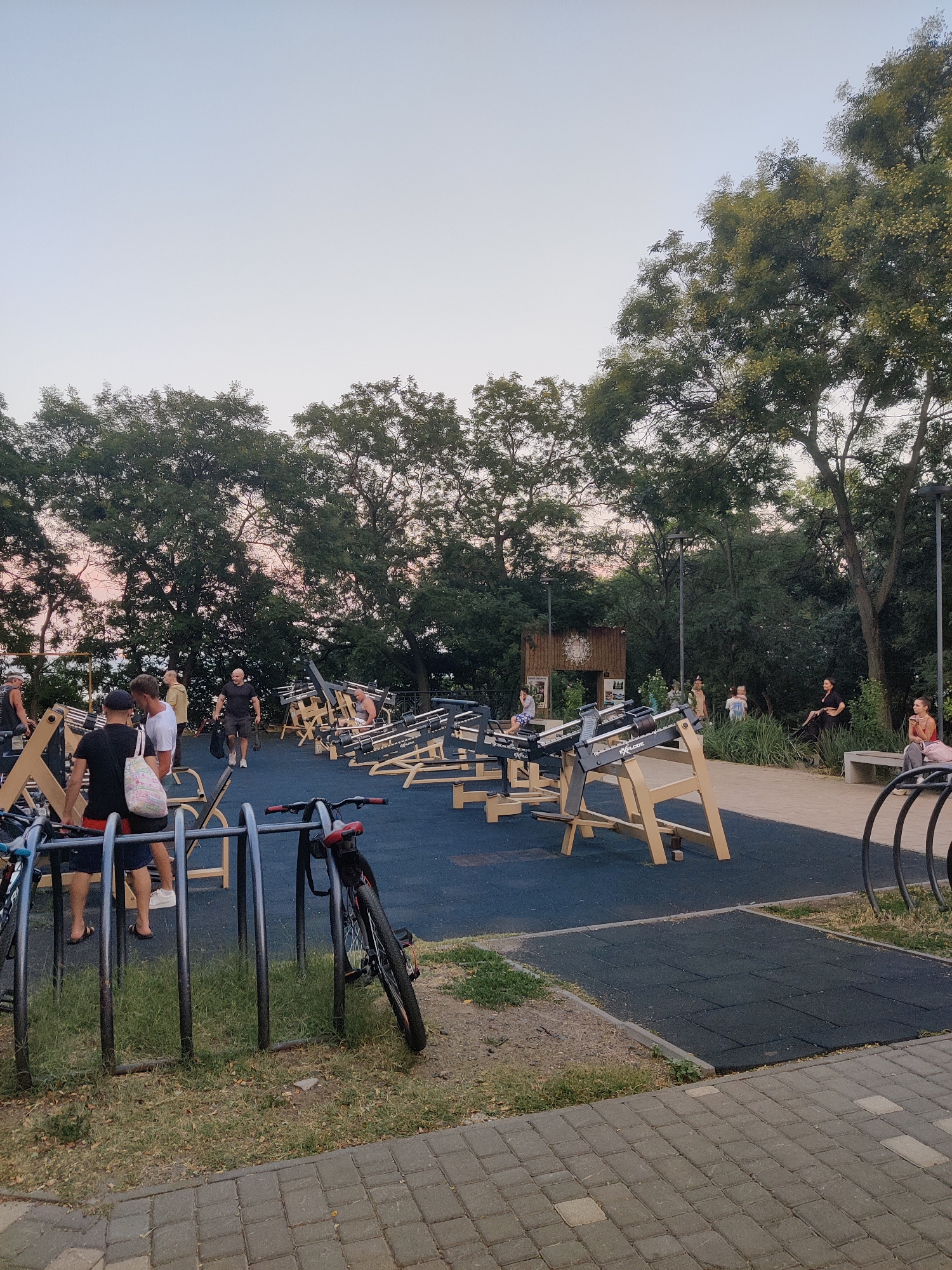 The image depicts an outdoor fitness area in Odesa, Ukraine. The scene is set in a park-like environment with lush green trees in the background and a pale sky overhead, suggesting it is either early morning or late evening. The ground is covered with dark blue rubber matting, common for outdoor recreational spaces, and bordered by a paved walkway made of grey interlocking stones.
In the foreground, a bicycle rack with two bicycles is visible. One bicycle is black with red accents, and another is partially visible on the left. Several people are present in the area, engaged in various activities. Some are standing and conversing, while others appear to be using or observing the outdoor exercise equipment. The equipment consists of multiple wooden and metal structures designed for physical training, arranged in rows across the blue matting.
In the mid-ground, a small wooden structure with an arched entrance is visible, possibly serving as a shelter or information point. Scattered around the fitness area are benches and more trees, contributing to the natural, open-air setting. The overall atmosphere appears relaxed and casual, with people enjoying the amenities of the outdoor space.
