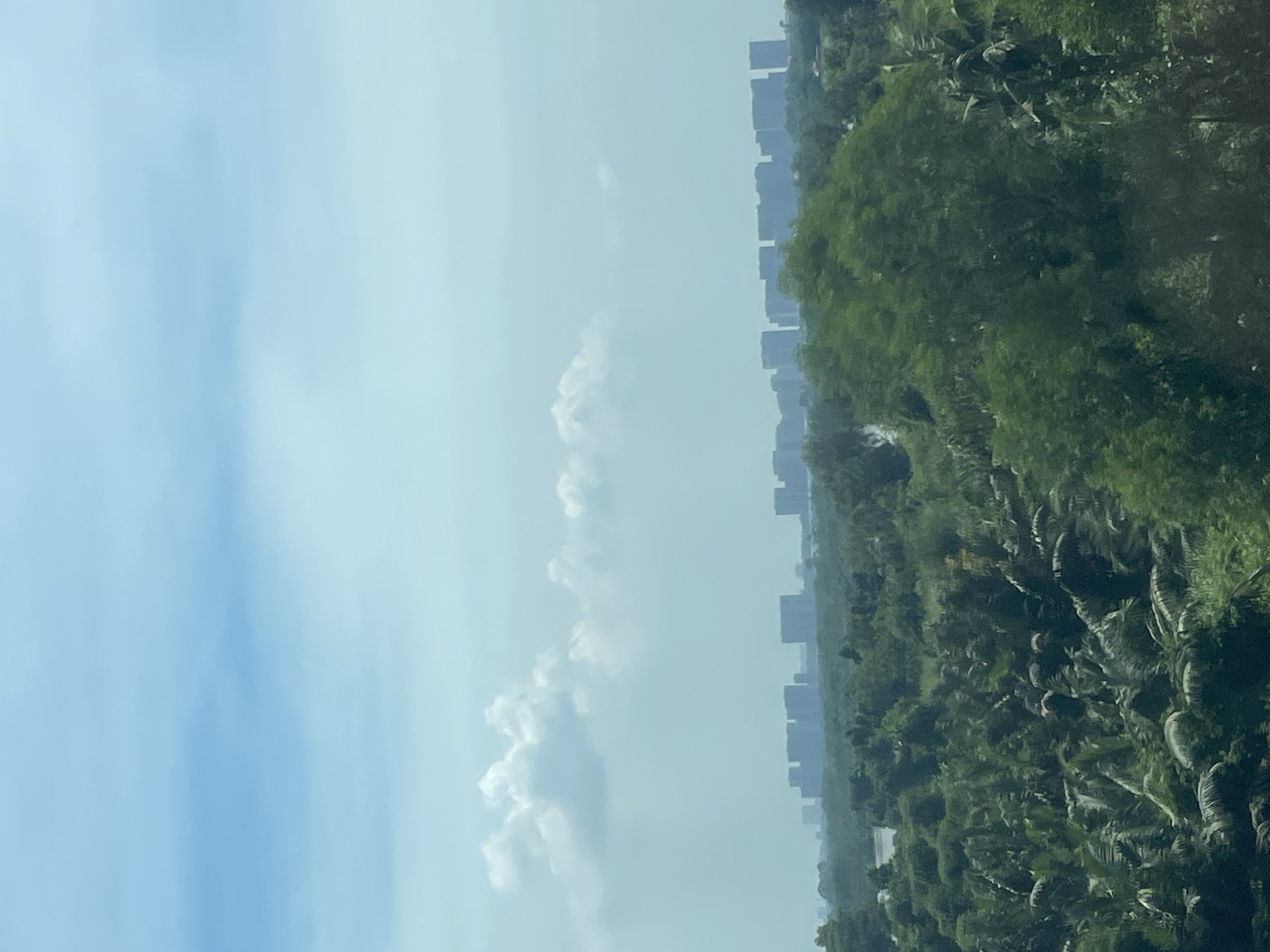 The image displays a panoramic view of a cityscape in Dong Nai City, Vietnam, characterized by a lush, green foreground and a distant urban skyline under a bright, hazy sky. In the immediate foreground, dense tropical foliage, including palm trees and other lush vegetation, dominates the lower half of the frame, suggesting a tropical climate. Beyond this verdant expanse, a body of water, possibly a river or lake, is visible, reflecting the sky. Further in the distance, a series of modern, high-rise buildings form a distinct urban silhouette against the hazy horizon. These structures are silhouetted and appear somewhat muted due to atmospheric conditions, but their uniformity suggests a planned development or an area with similar architectural styles. The sky is a pale blue, with scattered, wispy clouds, contributing to the overall bright but somewhat diffused lighting of the scene. The image captures a transition zone between nature and urban development, a common characteristic of growing cities in Southeast Asia.
