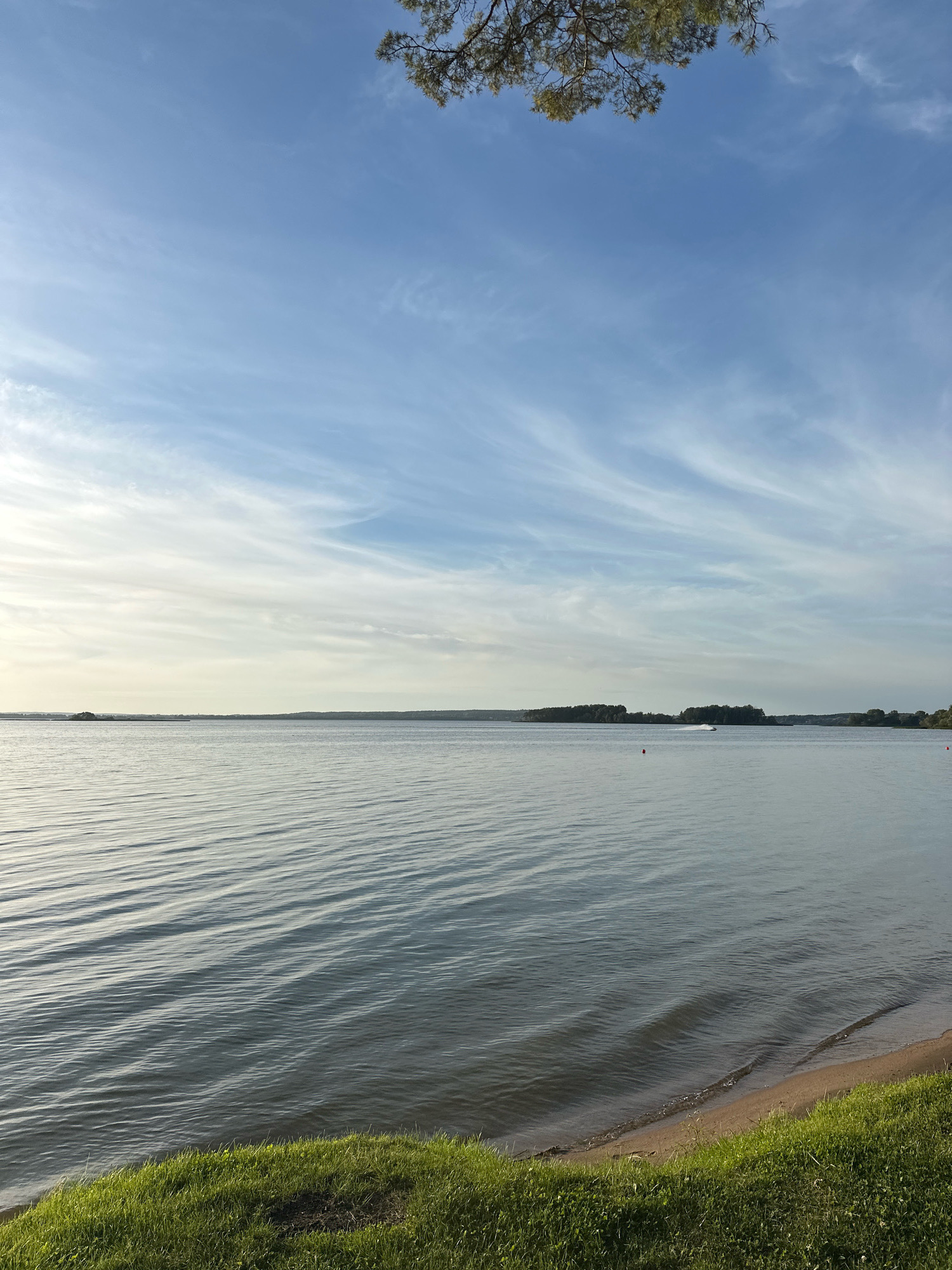 A serene lake scene at dusk, with a tree branch in the upper right corner. The sky is a pale blue with wispy white clouds. The lake is calm with gentle ripples, reflecting the sky. A sandy shore with green grass is in the foreground. In the distance, a treeline marks the opposite bank of the lake. A small boat is visible on the water. This location is believed to be the village of Zhdanovichi, within the Zhdanovichi Rural Council, Belarus.