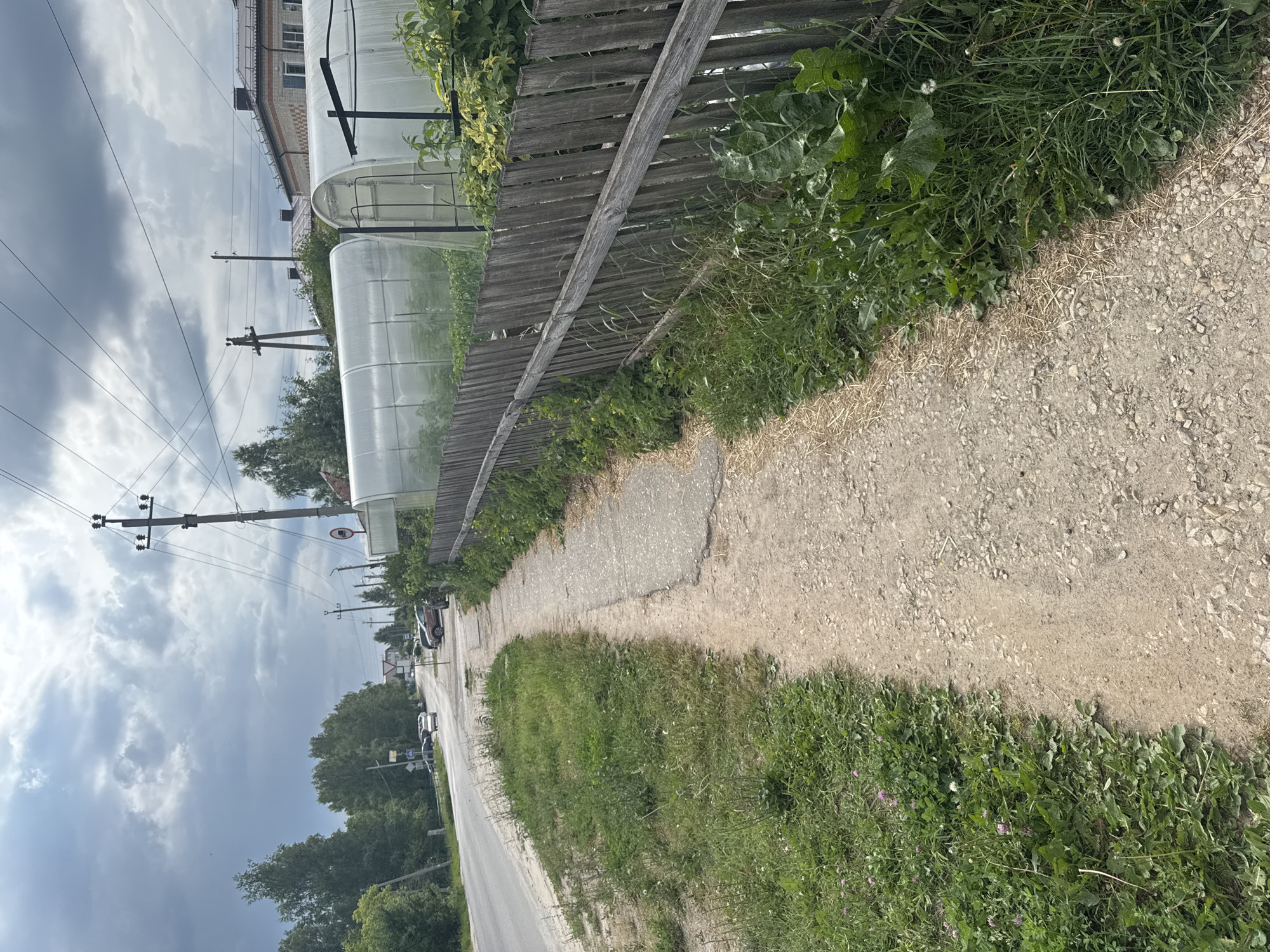 The image shows a sidewalk and a road in the village of Krasnye Baki, Russia. The sidewalk is made of concrete and gravel, and it is lined with grass and weeds. The road is paved with asphalt, and there are several cars parked on the side of the road. In the background, there are several houses and greenhouses. The sky is cloudy, and there are some trees and power lines in the distance. There are no people visible in the image. The overall impression is one of a rural, semi-urban environment on a cloudy day.