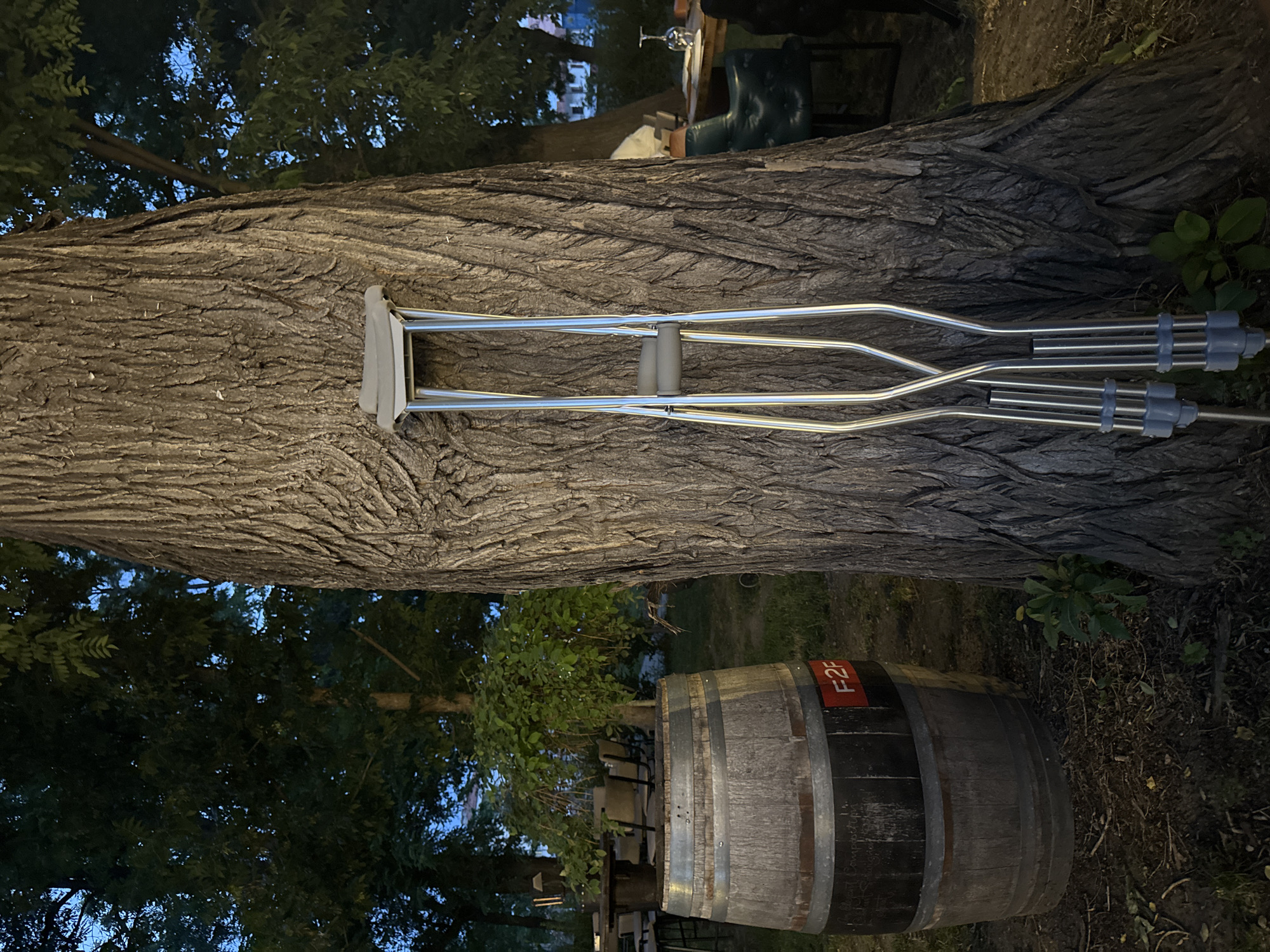 A pair of silver-colored aluminum forearm crutches leans vertically against the deeply furrowed, dark grey-brown bark of a large tree trunk, positioned centrally within the image. The crutches feature grey padded armrests and hand grips, with grey rubber tips at their base. To the left of the tree, a wooden wine barrel stands upright on dark soil, secured by two metal hoops. The lower section of the barrel is painted dark, displaying faded white or light-colored scribbles and a rectangular red label with the text 'F2F' in white uppercase letters. The surrounding environment is an outdoor area, indicative of an evening or night setting due to the low artificial lighting highlighting the crutches and tree, and a deep blue sky visible through the tree canopy. In the background to the left, partially obscured by green foliage, are indistinct tables and chairs belonging to an outdoor dining establishment. To the right of the tree, another section of an outdoor dining area is visible, including a dark green upholstered armchair positioned next to a table covered with a white tablecloth, on which a clear wine glass rests. Faintly visible in the far background through the trees are some light-colored buildings. No individuals are present in the immediate visible area of the scene. This scene is located in the city of Plovdiv, Bulgaria.