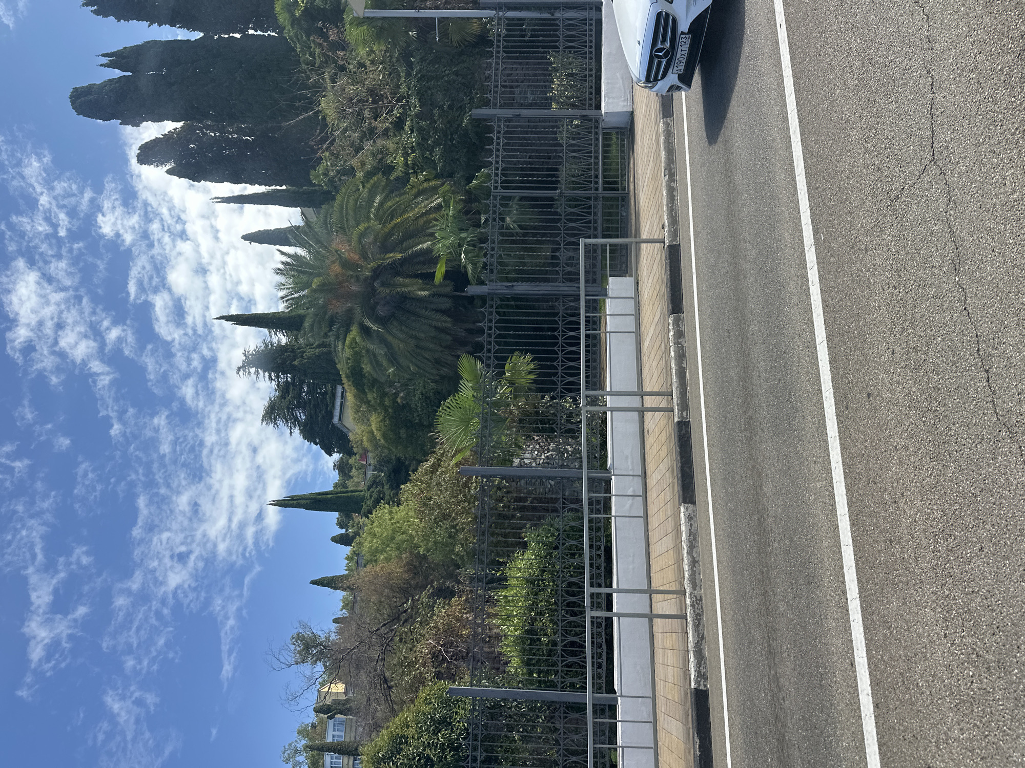 A white Mercedes-Benz with license plate A190XT123 is parked on the right side of a paved road, facing left. The car is positioned in front of a sidewalk with a white metal railing. Beyond the railing is a black ornamental fence, and behind the fence is a dense, green hillside covered with various types of trees, including tall cypresses, palm trees, and other deciduous and evergreen foliage. A multi-story building with light-colored walls and windows is partially visible on the left side of the hillside, nestled among the trees. The sky above is blue with scattered white clouds, and the sun is shining, casting shadows. The road has a white lane marker. The scene appears to be a street view in a city with a hilly topography and abundant vegetation, consistent with the resort city of Sochi, Russia, known for its subtropical climate and Mediterranean-like flora.