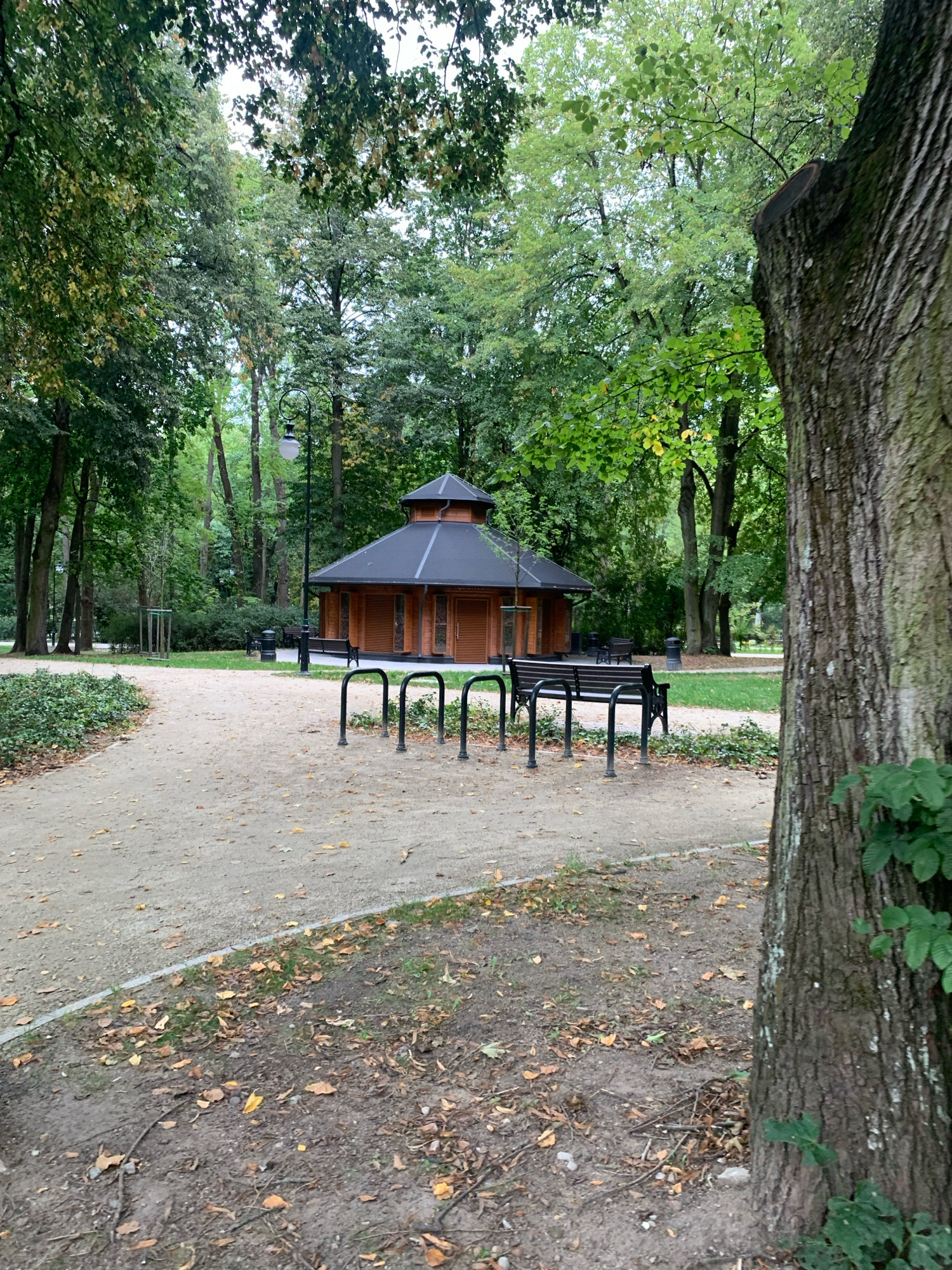 The image depicts a serene park scene in Białystok, Poland, likely within Branicki Park, known for its historical significance and lush greenery. In the mid-ground, a charming, octagonal wooden building with a dark, tiered roof stands amidst a backdrop of mature trees. The building features louvred windows and doors, suggesting it might be a cafe, information point, or a small pavilion. In front of the building, a dark-colored bicycle rack with multiple loops is visible. Adjacent to the rack, a dark-colored park bench offers a place to rest. Another bench and a trash receptacle are situated further back, near the building. The ground in the foreground is a light-colored gravel path, with scattered fallen leaves indicating an autumn setting. A paved walkway with a slight curve leads into the park from the left. The right side of the image is dominated by the textured bark of a large tree trunk, its branches and leaves partially obscuring the sky. The overall ambiance is peaceful and natural, typical of a well-maintained urban park.