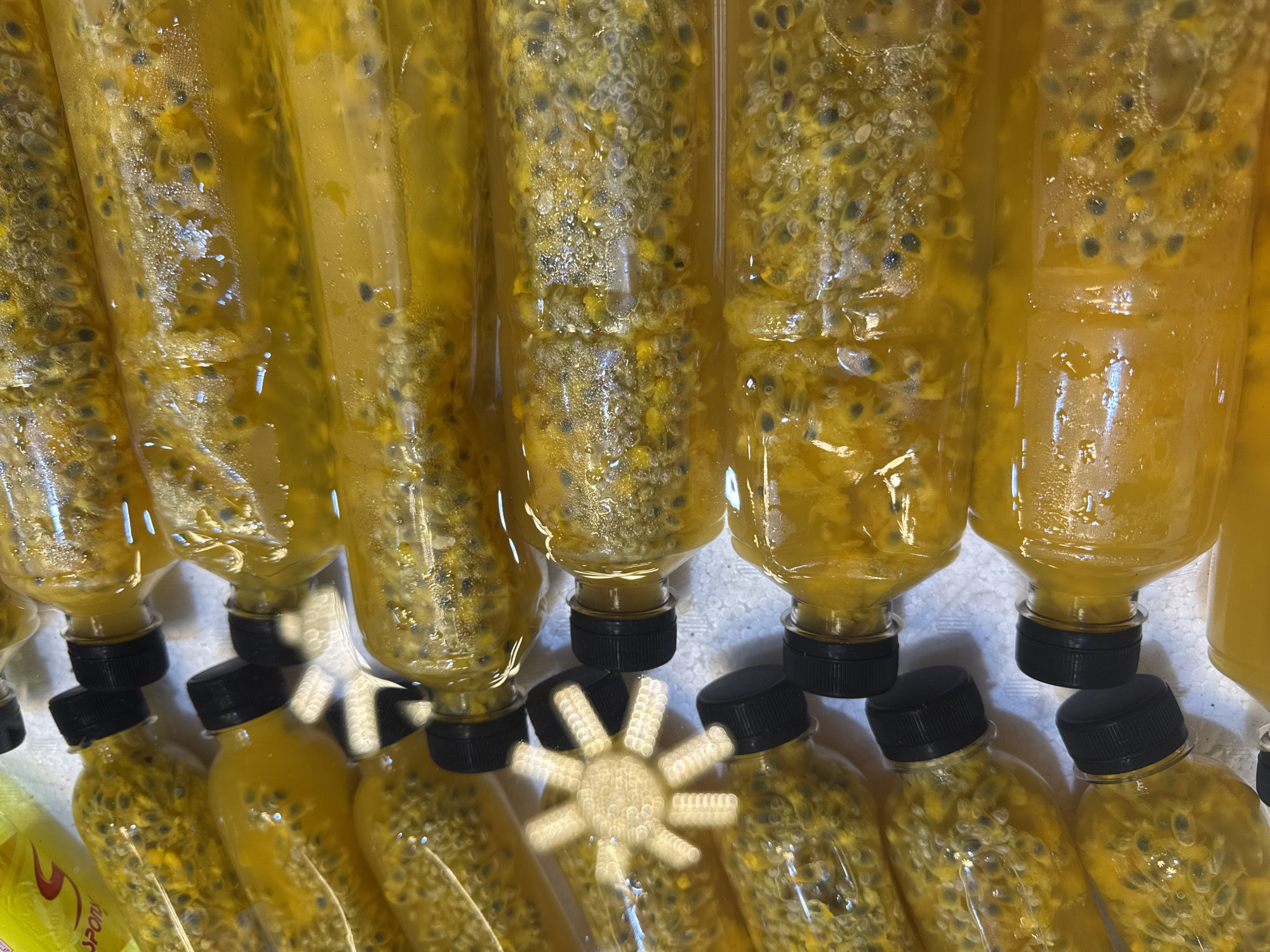 This media file shows a close-up, overhead view of several clear plastic bottles filled with a yellow liquid and passion fruit pulp and seeds. The bottles are arranged in rows, with the tops of some bottles in focus and others blurred. The lighting is bright, suggesting an indoor setting with artificial lights. There are some light reflections on the surface of the bottles, and a sun-shaped bokeh effect is visible on some of the bottles in the foreground.
The focus of the image is on the bottles and their contents. The passion fruit seeds are dark and numerous, suspended in the yellowish juice. The bottles have black screw-on caps. Some of the bottles are partially obscured by others, creating a sense of depth and abundance.
One bottle in the lower left corner is partially visible and appears to have a label with red and yellow elements, and some text which seems to say "SPORT". The presence of "SPORT" on a label might suggest the product is a beverage, potentially for athletes, although this is speculative based on the limited visible text.
The overall impression is one of a prepared beverage, possibly for sale or distribution. The bright lighting and focus on the product suggest a commercial or preparation setting. No people are visible in the image. The location is Karon, Thailand.