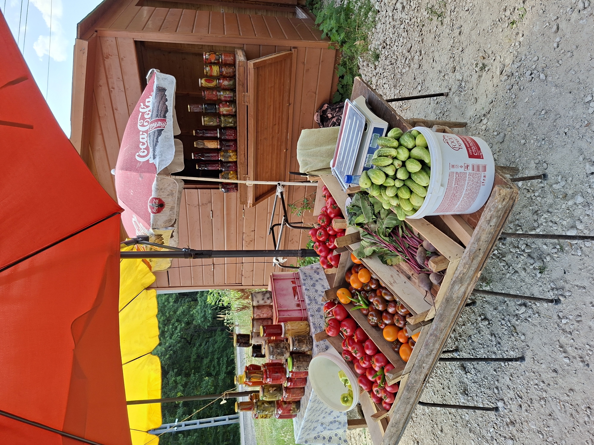 An outdoor market stall in Scoreni, Moldova, displays a variety of fresh produce and preserved goods. A weathered wooden stand supports several crates overflowing with ripe red tomatoes, darker heirloom tomatoes, and a few orange tomatoes. To the right of the tomatoes, a wooden crate holds several beets with their leafy green tops. In front of the stand, a white bucket is filled with numerous cucumbers, and a silver digital scale sits on a small wooden table, accompanied by a green cloth. Behind the produce, a table covered with a patterned cloth is laden with an assortment of glass jars filled with preserved vegetables and fruits, with some pink plastic crates also visible. A red and yellow umbrella provide shade over the market stall, and a separate red umbrella with a Coca-Cola logo is also present. The stall is situated on a gravel path next to a rustic wooden building. Trees and foliage line the background, suggesting a rural or semi-rural setting. The sky above is partly cloudy. No people are visible in the image.