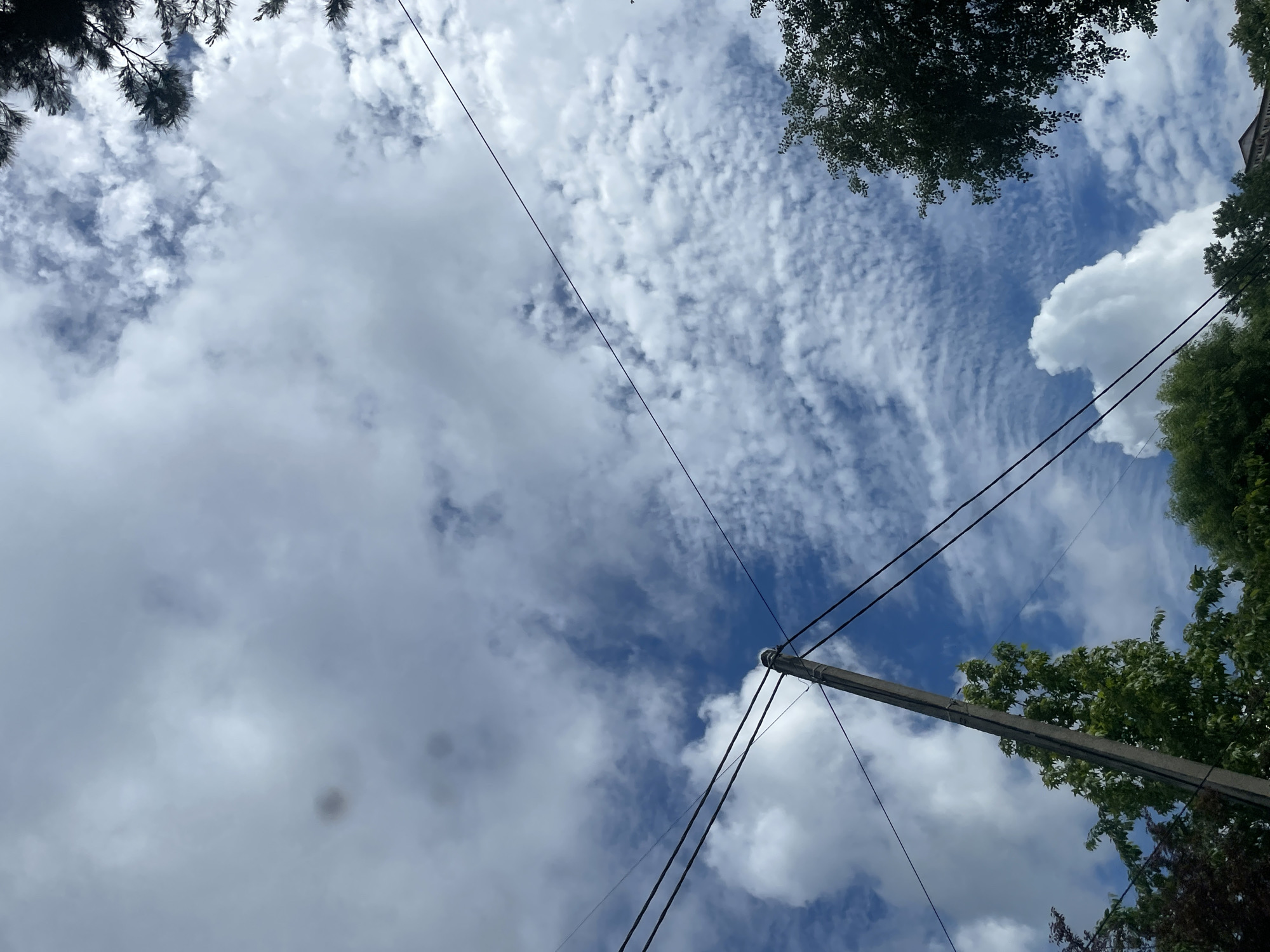 The image is a tilted upward view of the sky. The sky is partially covered with clouds and patches of blue. Power lines and a gray utility pole are visible in the lower center, running diagonally across the frame. Tree foliage is present in the upper left and right corners, and the lower right corner. Based on the visual style and available information, the location cannot be conclusively identified as Sochi, Russia. There are no people or subjects in the image. Actions and interactions are not applicable.