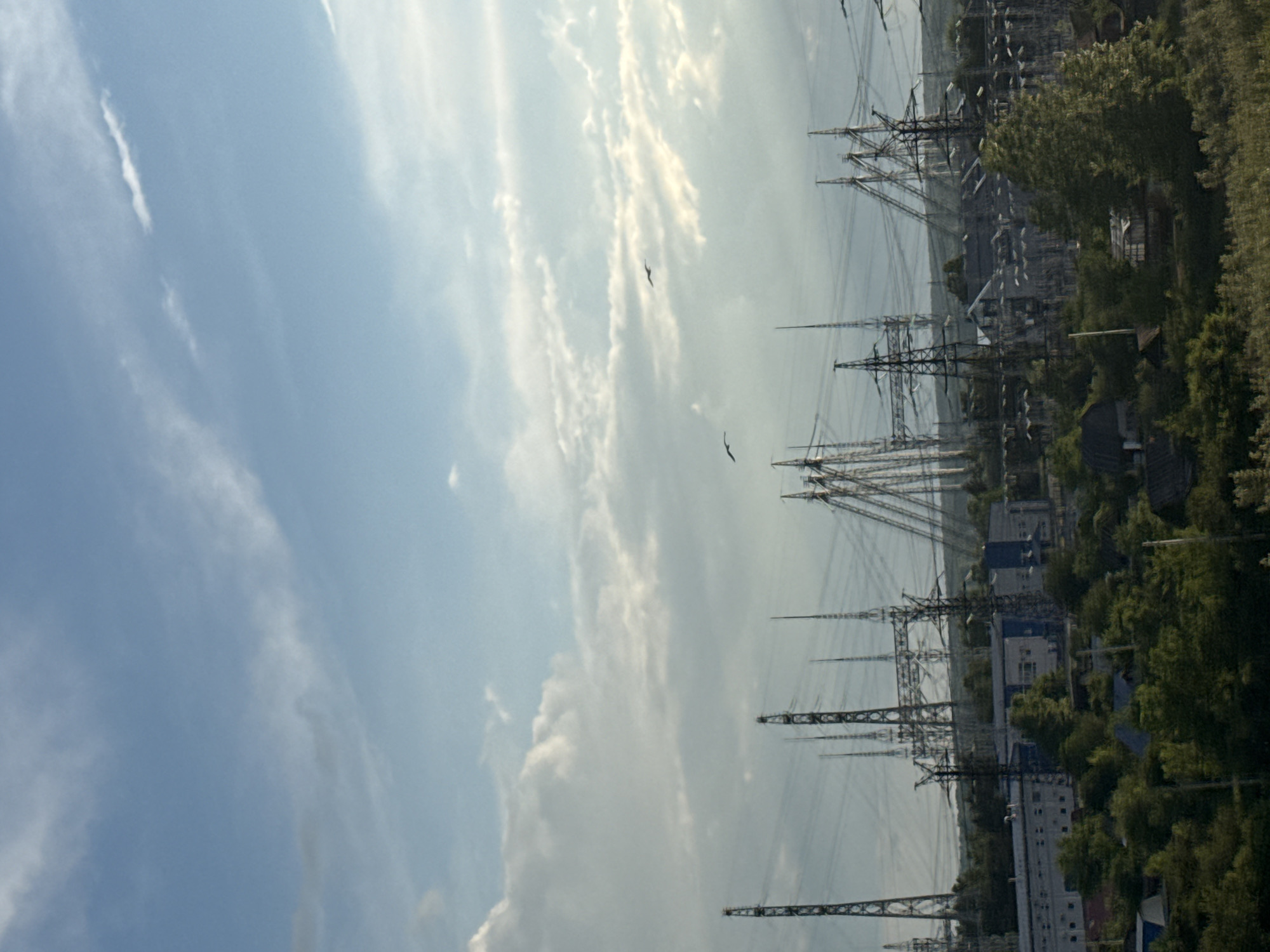 The image depicts a view in Chaikovsky, Russia, showcasing a series of electrical pylons stretching into the distance. The pylons are tall, metal structures with multiple arms supporting power lines. The sky is cloudy with patches of blue visible. To the right of the pylons are buildings interspersed with trees, indicating a mix of urban and natural environments. Two birds are visible flying in the sky near the pylons.