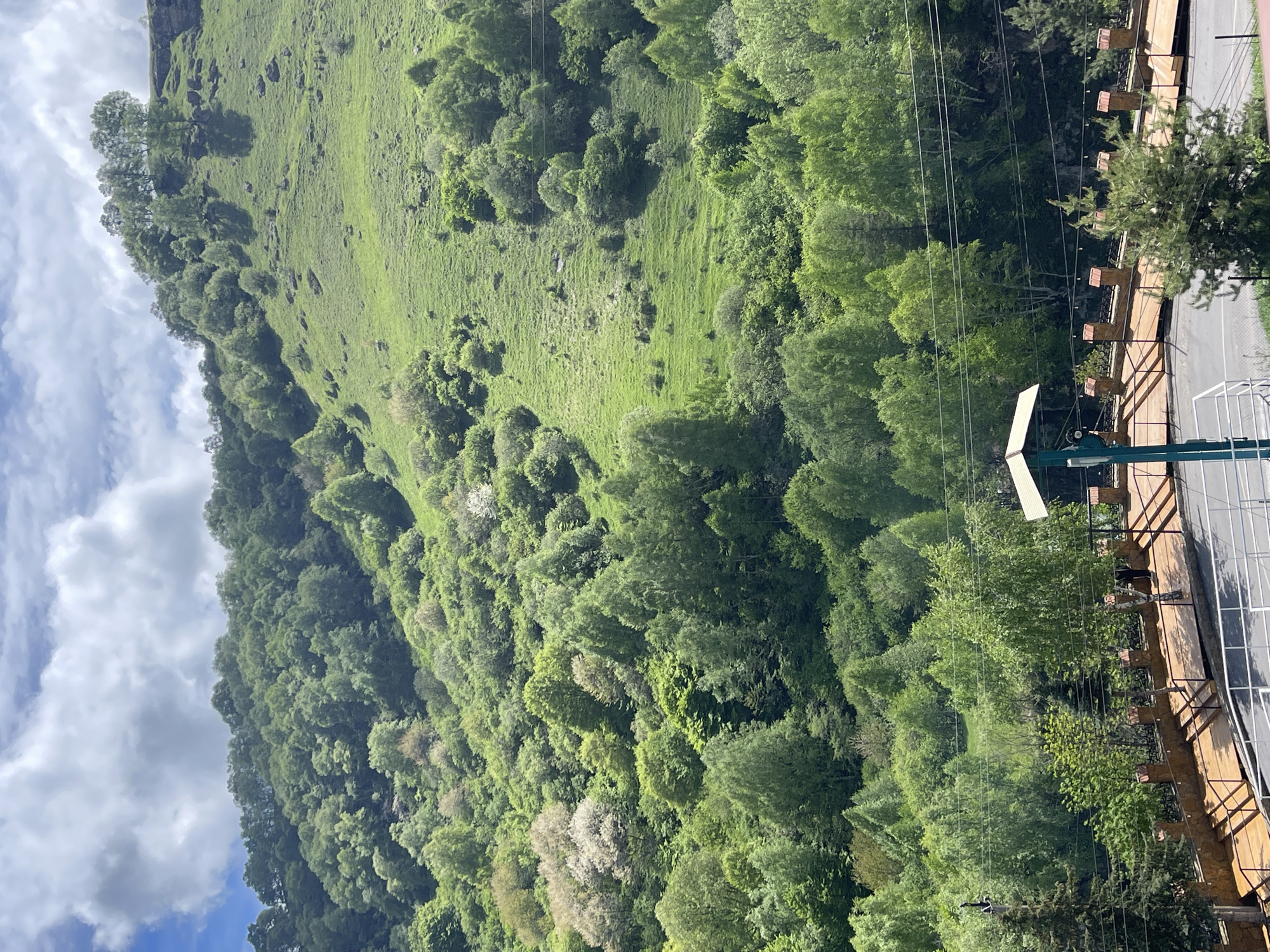 A view of a heavily wooded hillside and a grassy slope under a sky with puffy white clouds, as observed from the city of Красный Курган, Russia. A section of a walkway with a wooden railing and a metal structure is visible in the foreground. Trees and shrubs densely populate the hillside, while the grassy area is somewhat sparse with interspersed trees. Overhead electrical cables run through the scene.