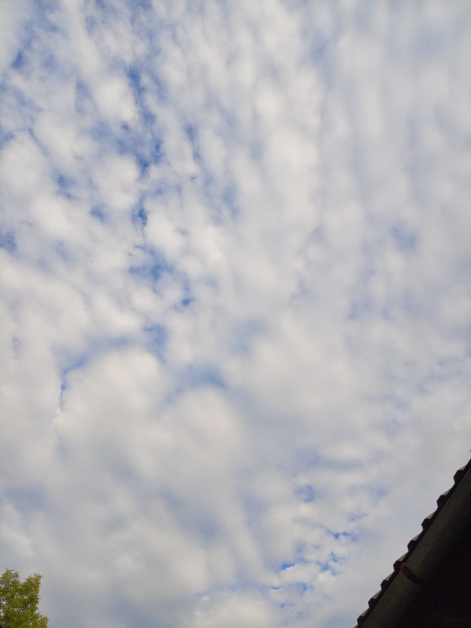 The image displays a partly cloudy sky with scattered cumulus clouds against a blue sky. The bottom right corner features the edge of a dark roof, likely a house or building. The bottom left corner shows a small portion of green foliage, suggesting the presence of trees or plants. The scene is devoid of any people or discernible actions. The lighting indicates it is daytime. There is no information within the image to specify its location within Shadrinsk, Russia.