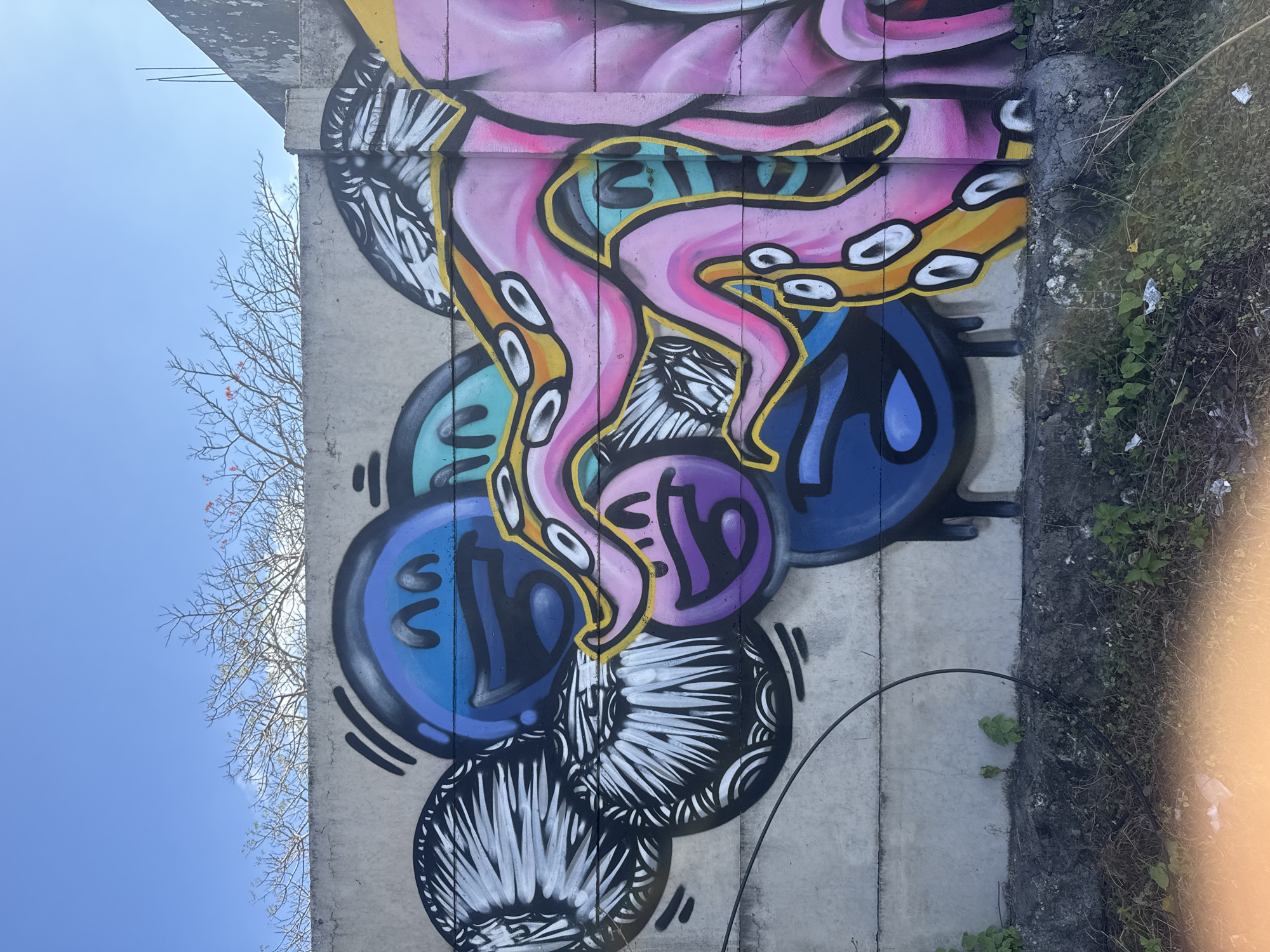 A concrete wall in Kuta Selatan, Indonesia, features vibrant graffiti. The artwork depicts several cartoonish faces with large, expressive eyes and mouths, rendered in shades of blue, purple, and teal. Intertwined with the faces are bright pink and yellow tentacles, characteristic of an octopus, with white circles representing suckers outlined in yellow. The tentacles are flowing and dynamic, adding a sense of movement to the piece. The graffiti covers a significant portion of the wall, which appears to be an exterior surface, possibly part of a building or a boundary wall. Above the wall, the sky is clear and blue, with the bare branches of a tree and a few red flowers visible against the sky, suggesting it might be a dry season. The lower portion of the image shows a strip of dry grass and some small green plants growing at the base of the wall, along with a black cable running along the ground.
