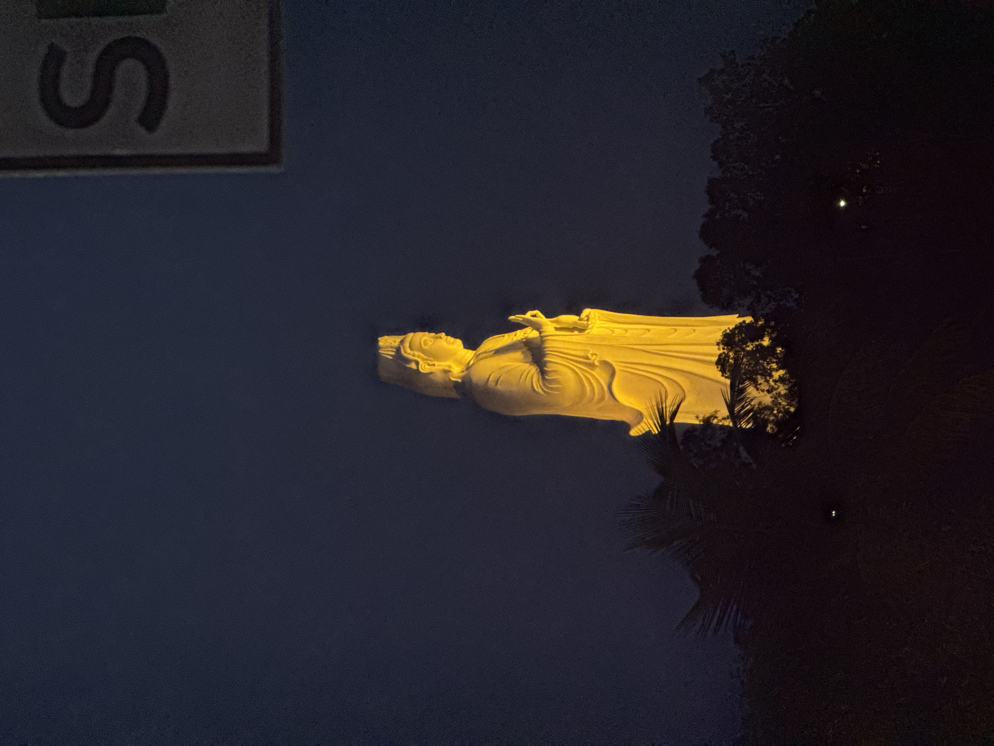 Captured at night, the image features a statue in Đà Nẵng, Vietnam. It is illuminated and appears golden against the dark blue night sky. A sign, partially visible, is positioned above the statue, while trees are situated to the statue's right.