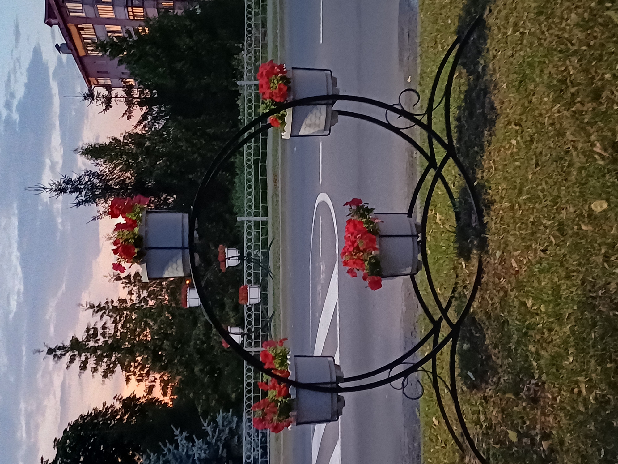 This is a medium-shot, eye-level photograph taken outdoors at dusk. The foreground features a black, ornate metal flower stand with a circular frame, holding several potted plants with red flowers. The stand is positioned on a patch of grass with fallen leaves. Behind the flower stand, a paved road with white markings is visible, suggesting a street or pathway. Further back, a white metal fence runs horizontally, separating the road from a grassy area and trees. In the background, there is a row of dark green coniferous trees, and to the right, a multi-story building with illuminated windows. The sky above is a soft gradient of pink, orange, and blue, with some clouds, indicating sunset or twilight. The location is identified as the city of Kobryn, Belarus. No people are present in the image.